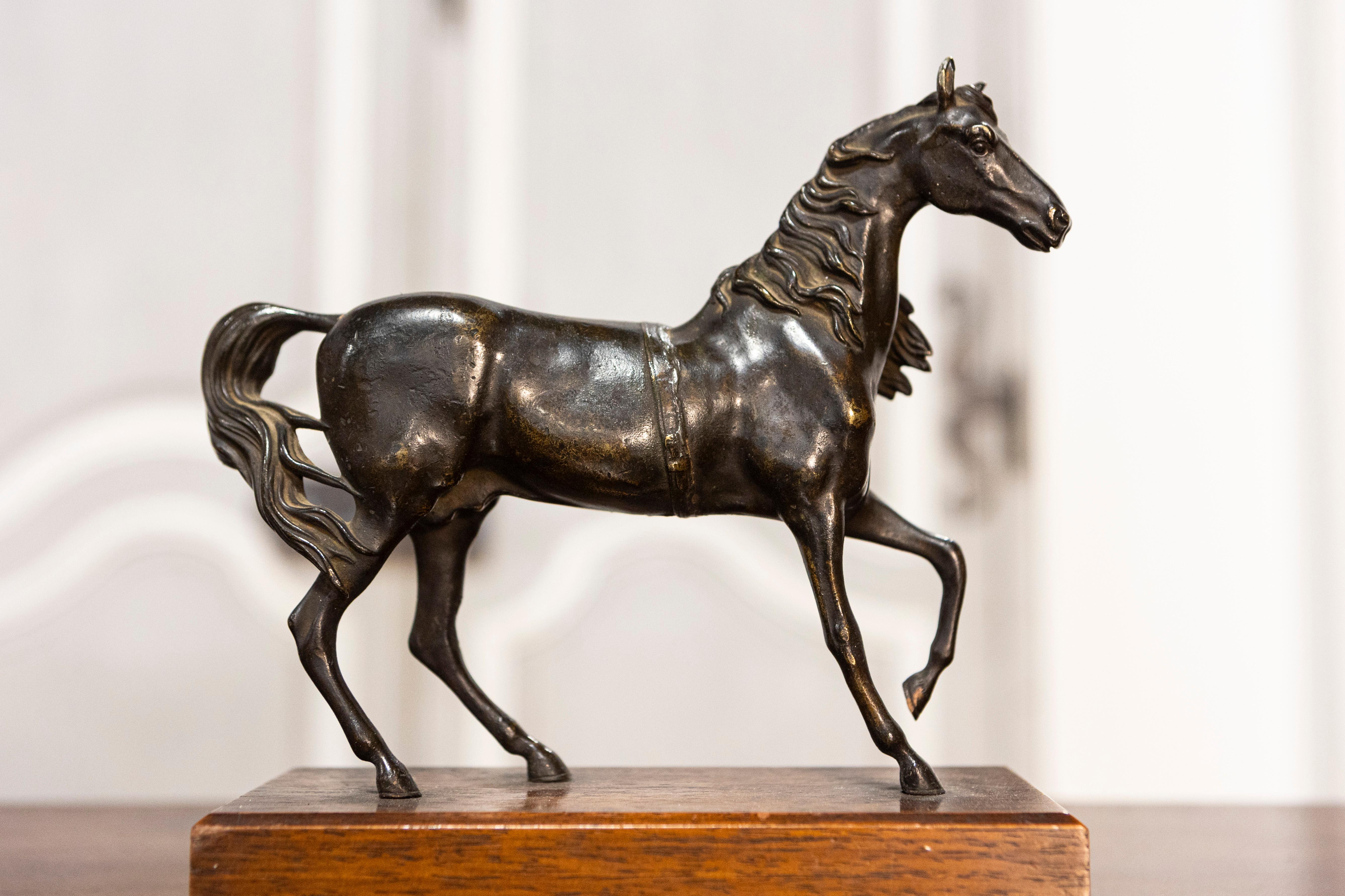 Eine italienische Bronzeskulptur eines Pferdes aus dem frühen 20. Jahrhundert auf einem rechteckigen Holzsockel. Diese exquisite Bronzeskulptur wurde Anfang des 20. Jahrhunderts in Italien geschaffen und zeigt die Eleganz und Stärke des Pferdes mit