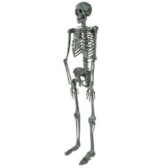 Italian Early 20th Century Skeleton Statue