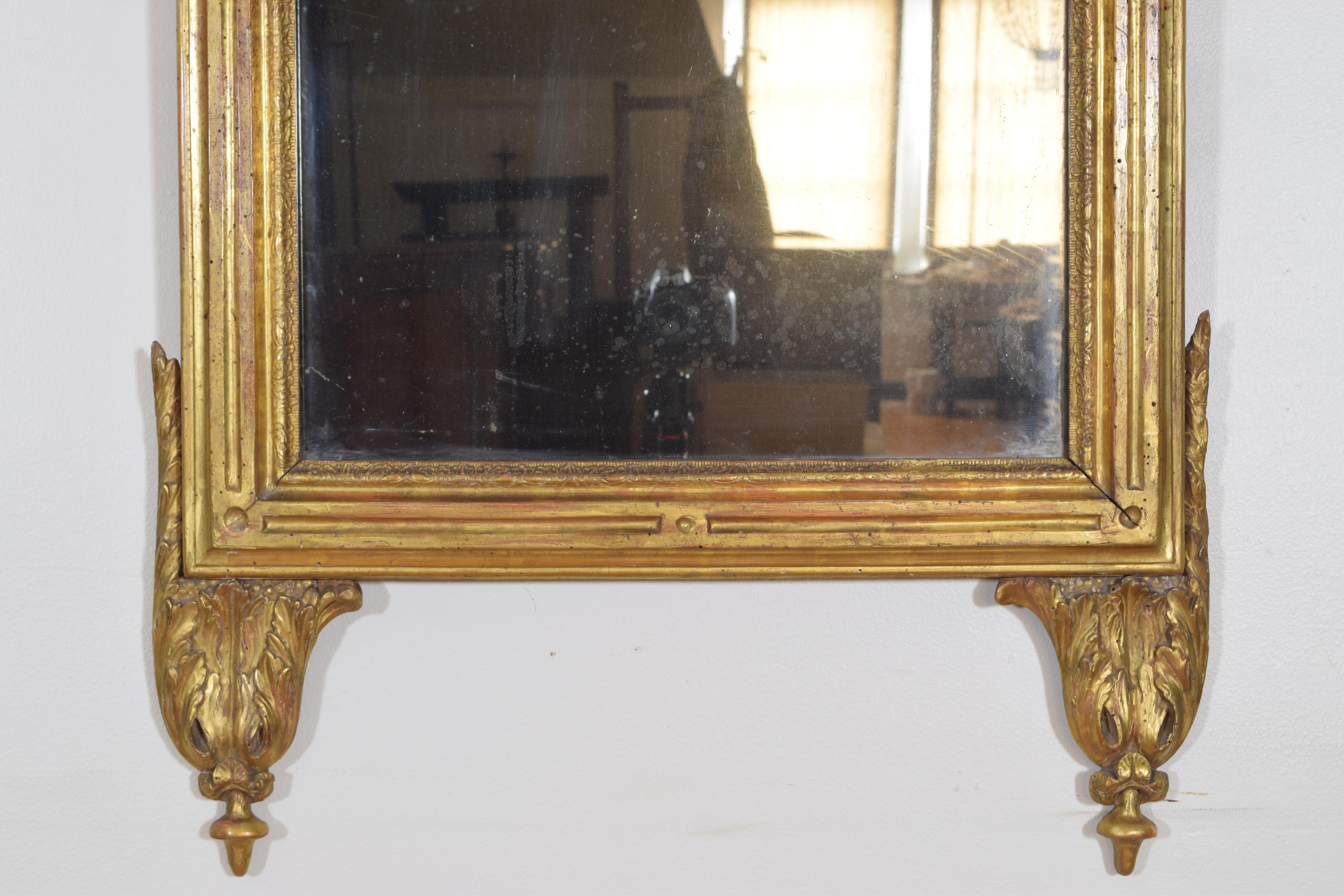 Italian Early Neoclassical Carved Giltwood Mirror, Last Quarter of 18th Century 2