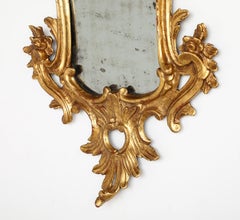 Italian Eighteenth Century Rococo Carved and Gilded Wood Mirror
