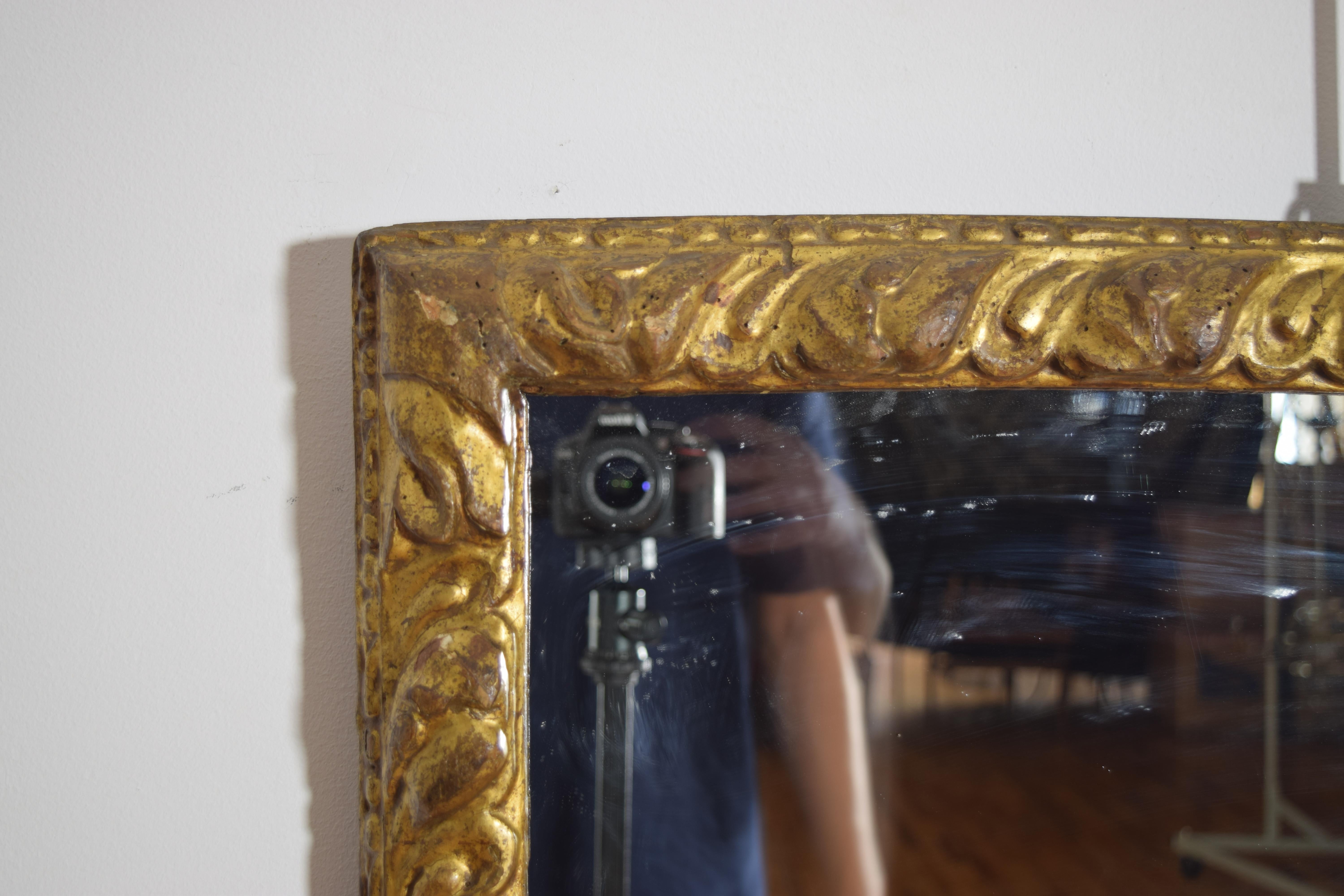 Legno dorato Italiano, Emiliana, Specchio in legno dorato intagliato del periodo tardo Luigi XIV, 1740 ca. in vendita