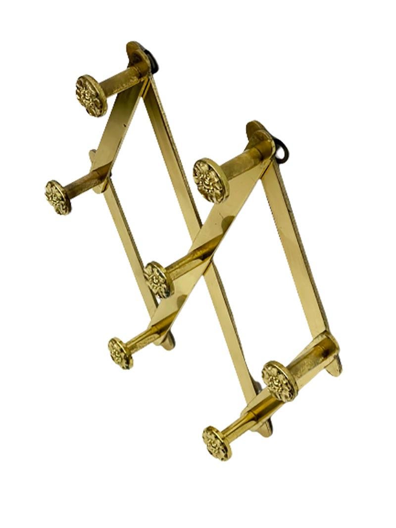 Italian Extendable Brass Coat Rack with Floral Knobs For Sale 2