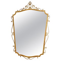 Italian Fancy Gilt Iron Framed Mirror