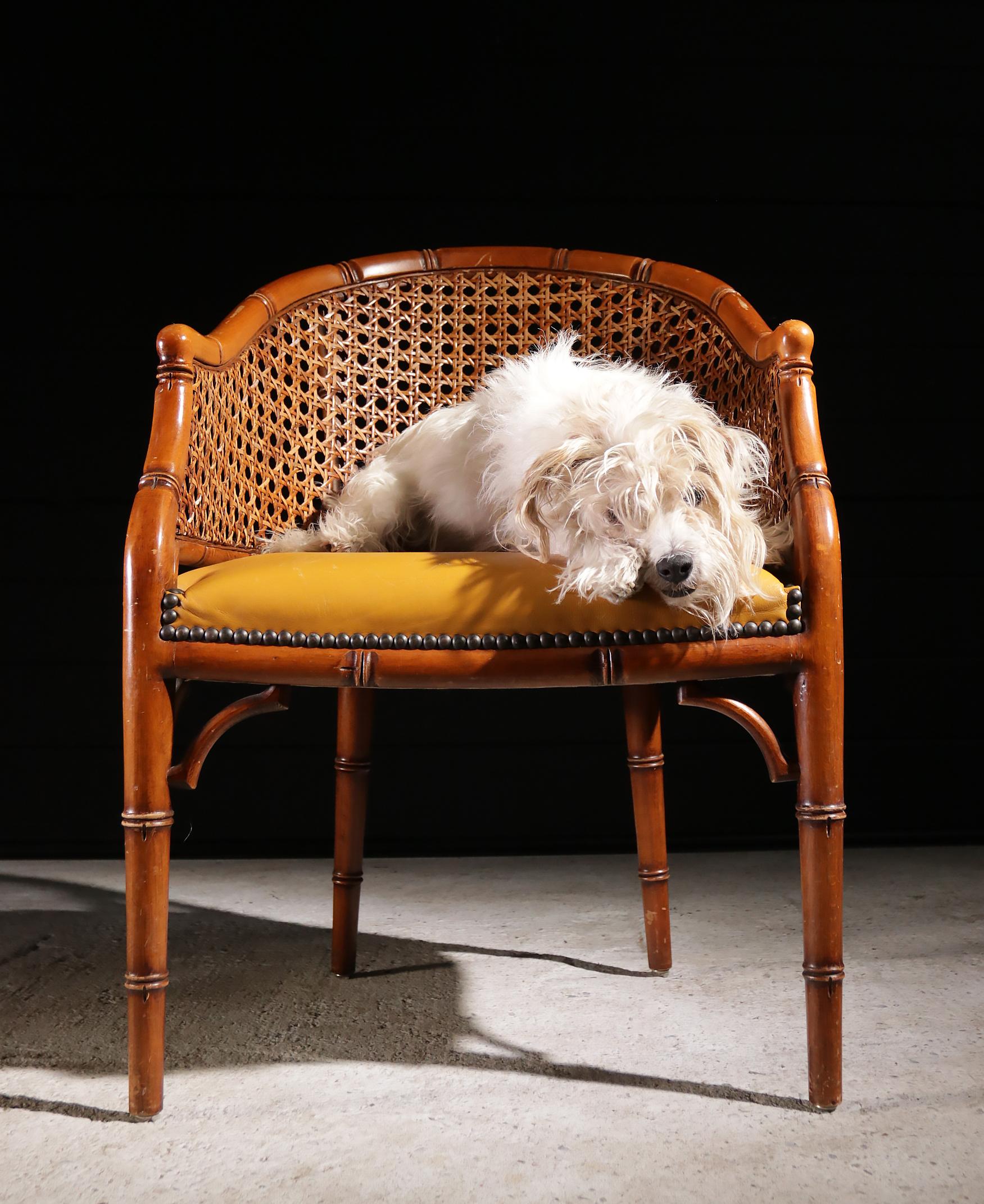 Italian design, chair by Giorgetti from the 1980s.
The chair is covered with mustard yellow leather upholstery and has some traces of wear but is in overall good condition.