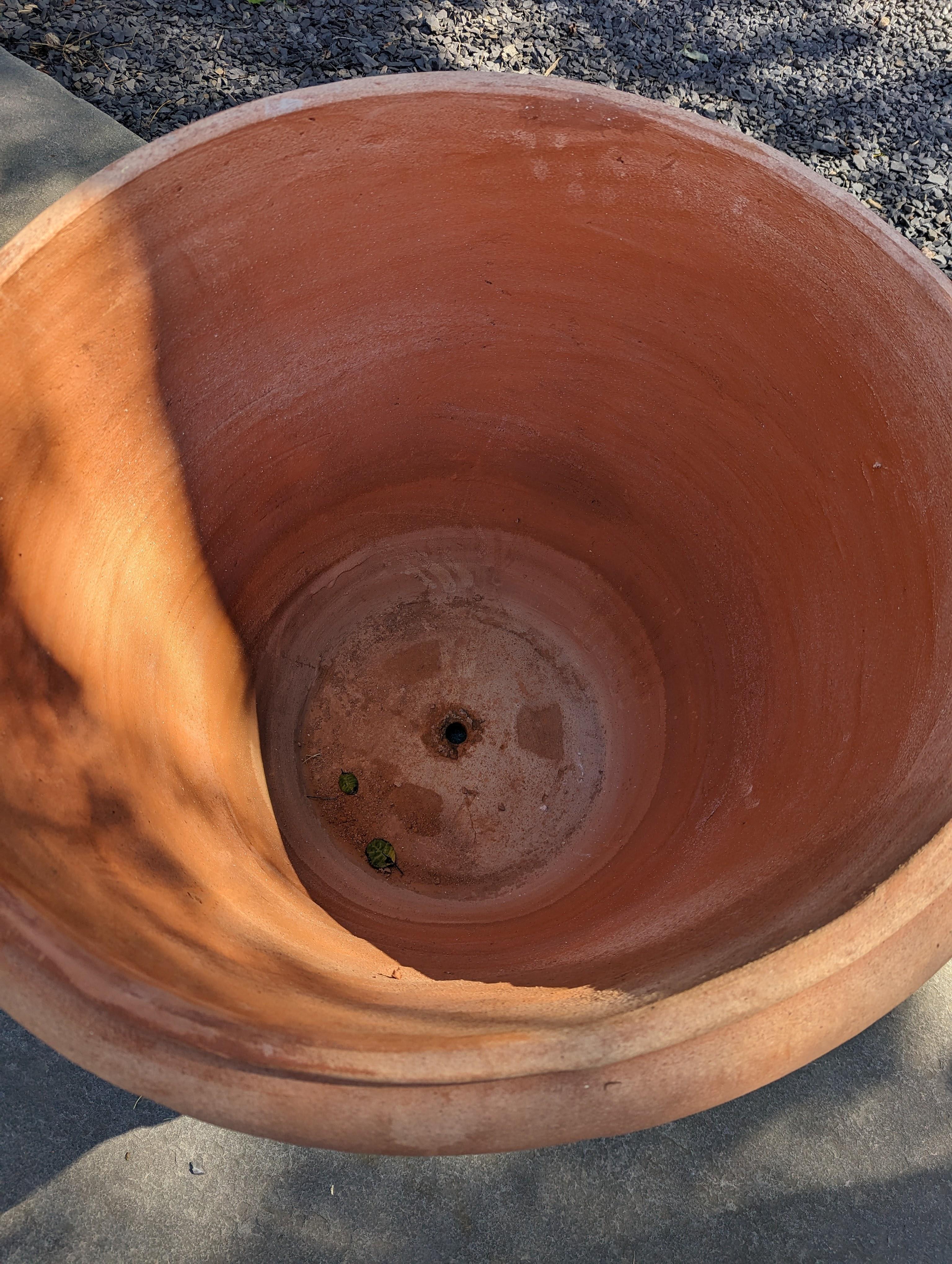 terracotta pot 80cm diameter