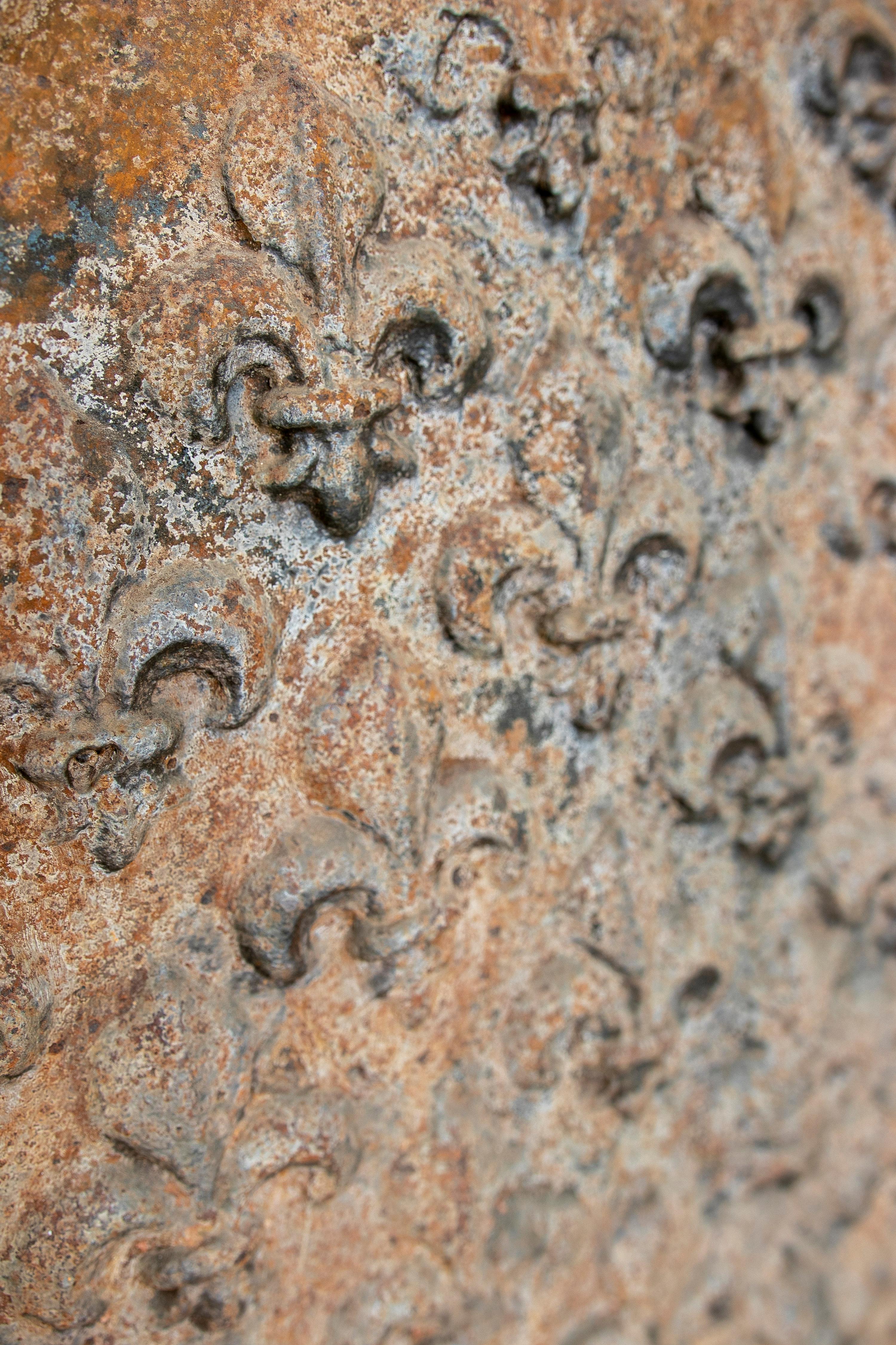 Plaque de cheminée italienne en fonte avec motif en relief Fleur-de-Lys en vente 2