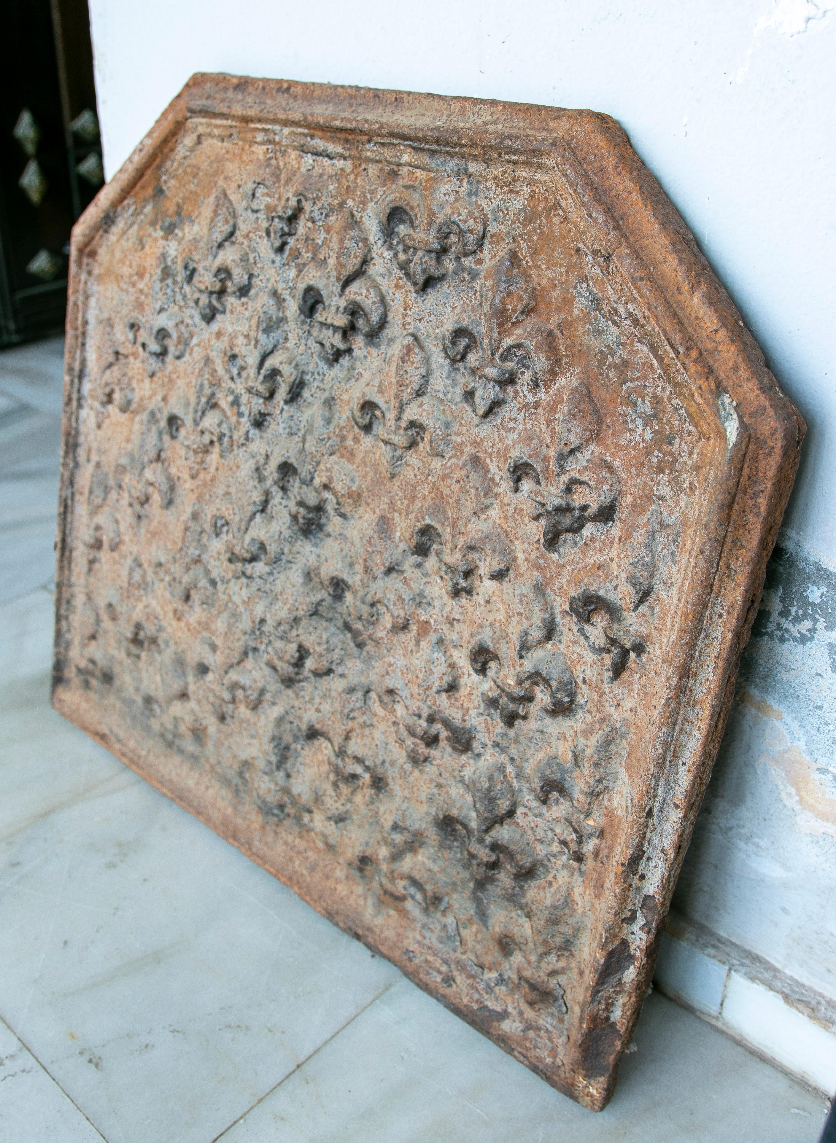 Italian fireplace cast iron fireback with fleur-de-lys relief pattern.