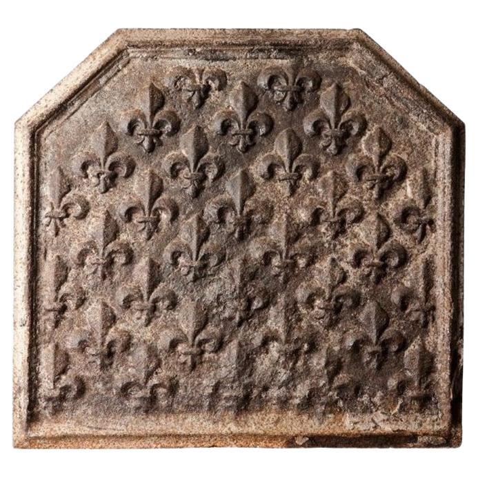 Plaque de cheminée italienne en fonte avec motif en relief Fleur-de-Lys en vente