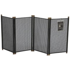 Vintage Italian Fireplace Screen by Tobia & Afra Scarpa, 1970s