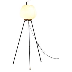 Italian floor lamp, 1950s