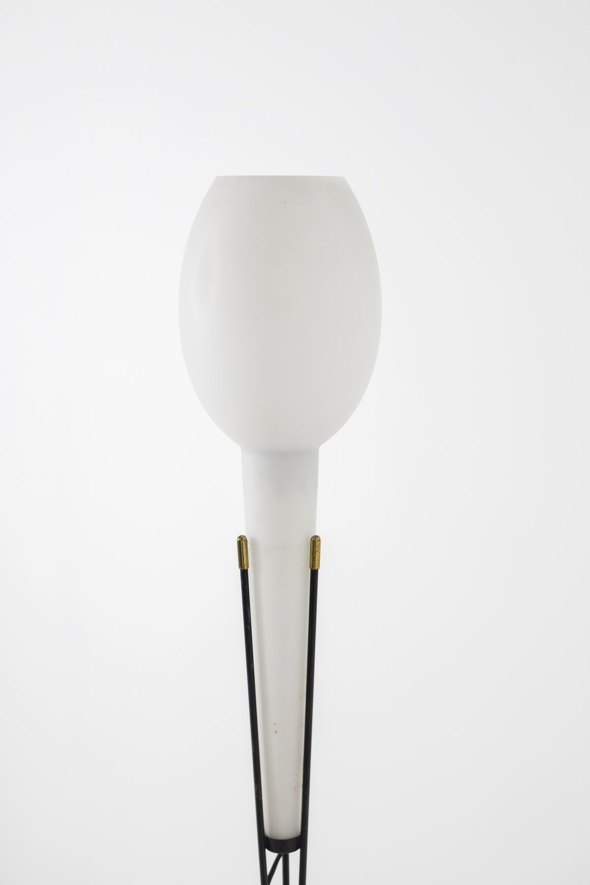 Italian Floor Lamp in the style of Stilnovo in Brass and Opaline Glass, 1950s 1