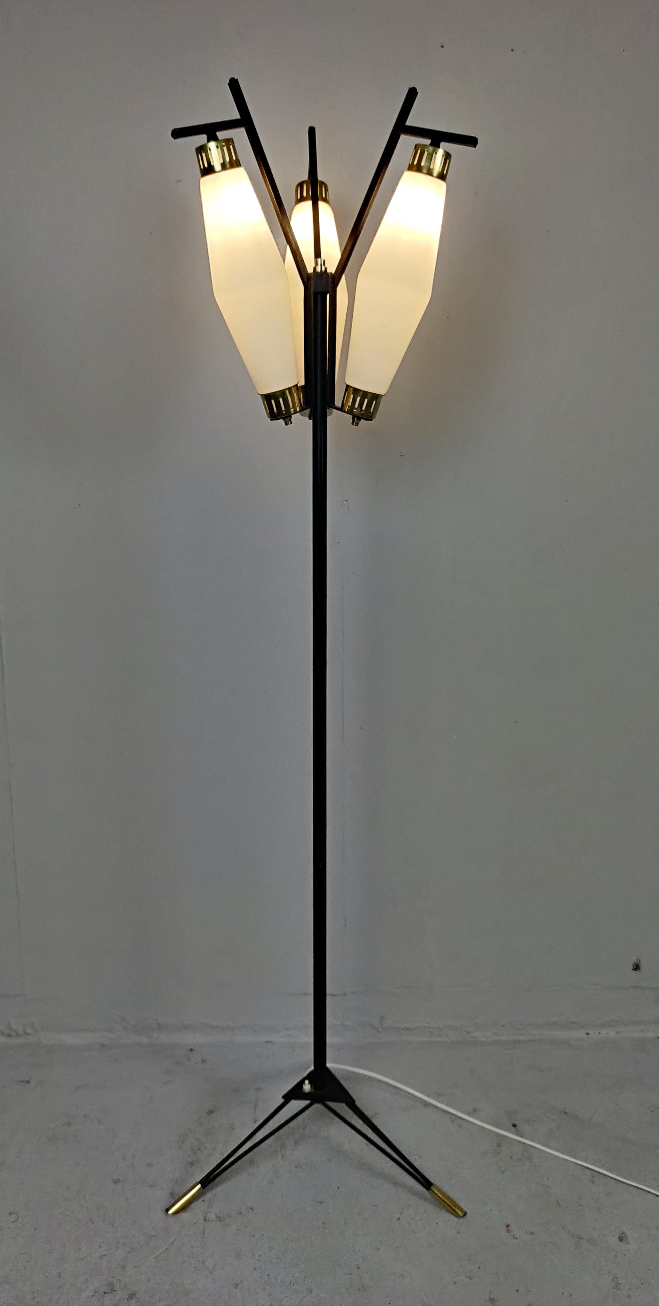 Italian Floor Lamp, Opaline Glass and Brass, 1950s 1