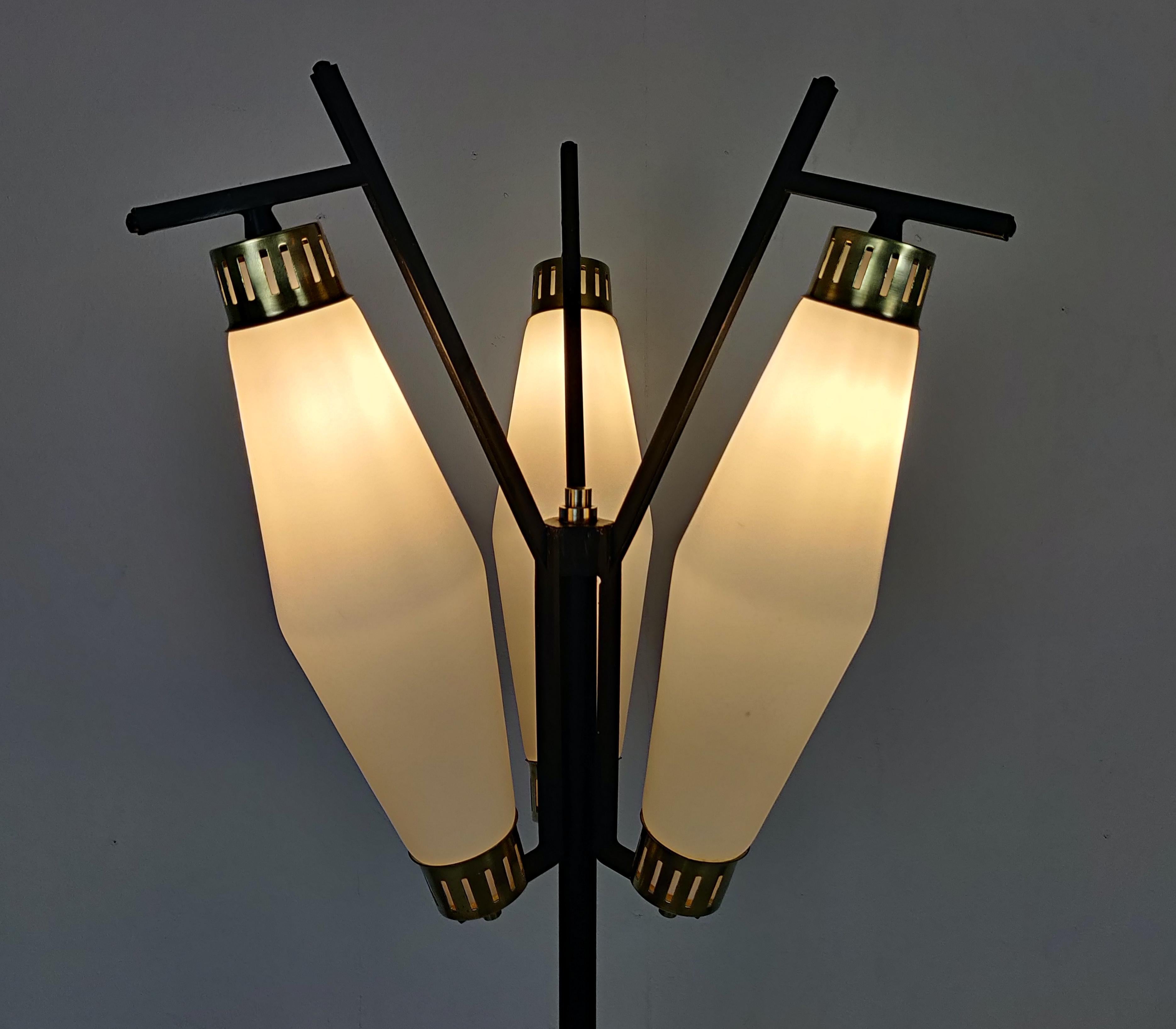 Italian Floor Lamp, Opaline Glass and Brass, 1950s 2