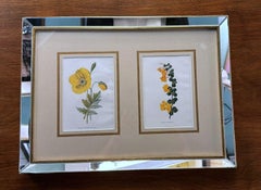 Italian Frame with Mirrors and English Chromolithographic Prints of Flowers - 05