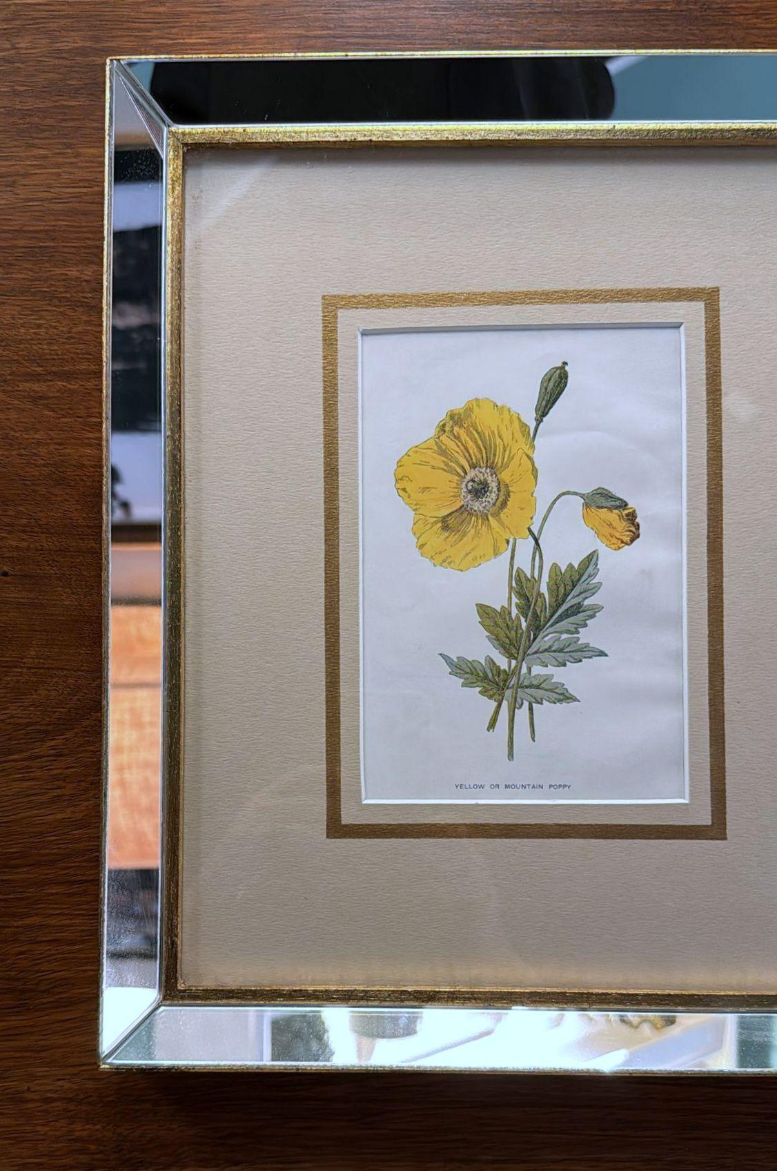British Italian Frame with Mirrors and English Chromolithographic Prints of Flowers - 05 For Sale