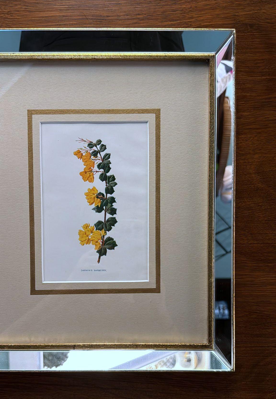Hand-Crafted Italian Frame with Mirrors and English Chromolithographic Prints of Flowers - 05 For Sale