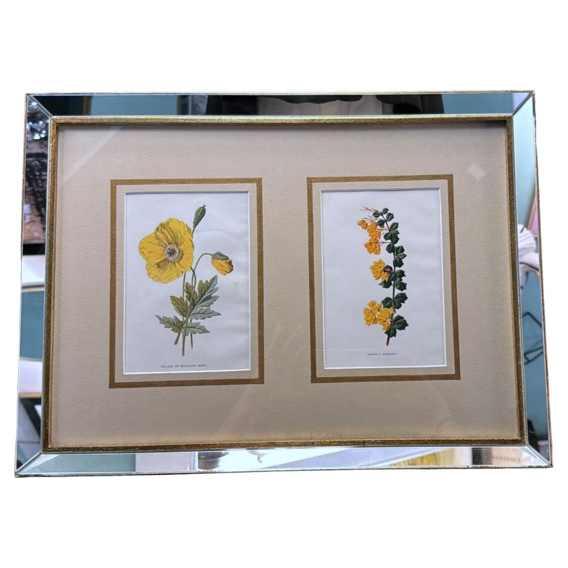 Italian Frame with Mirrors and English Chromolithographic Prints of Flowers - 05 For Sale