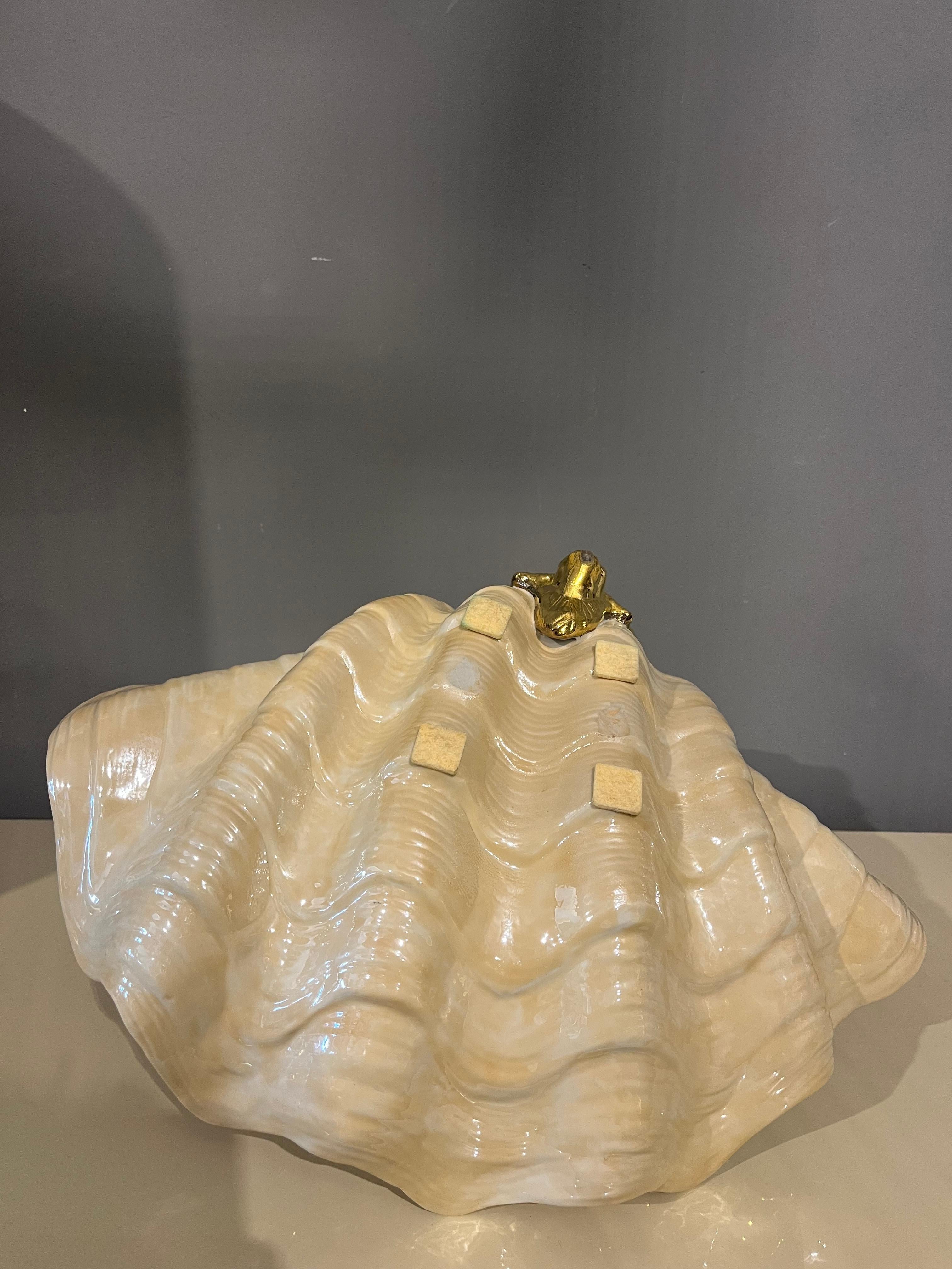 Italian Giant Swan Shell by Gabriella Binazzi in vendita 6