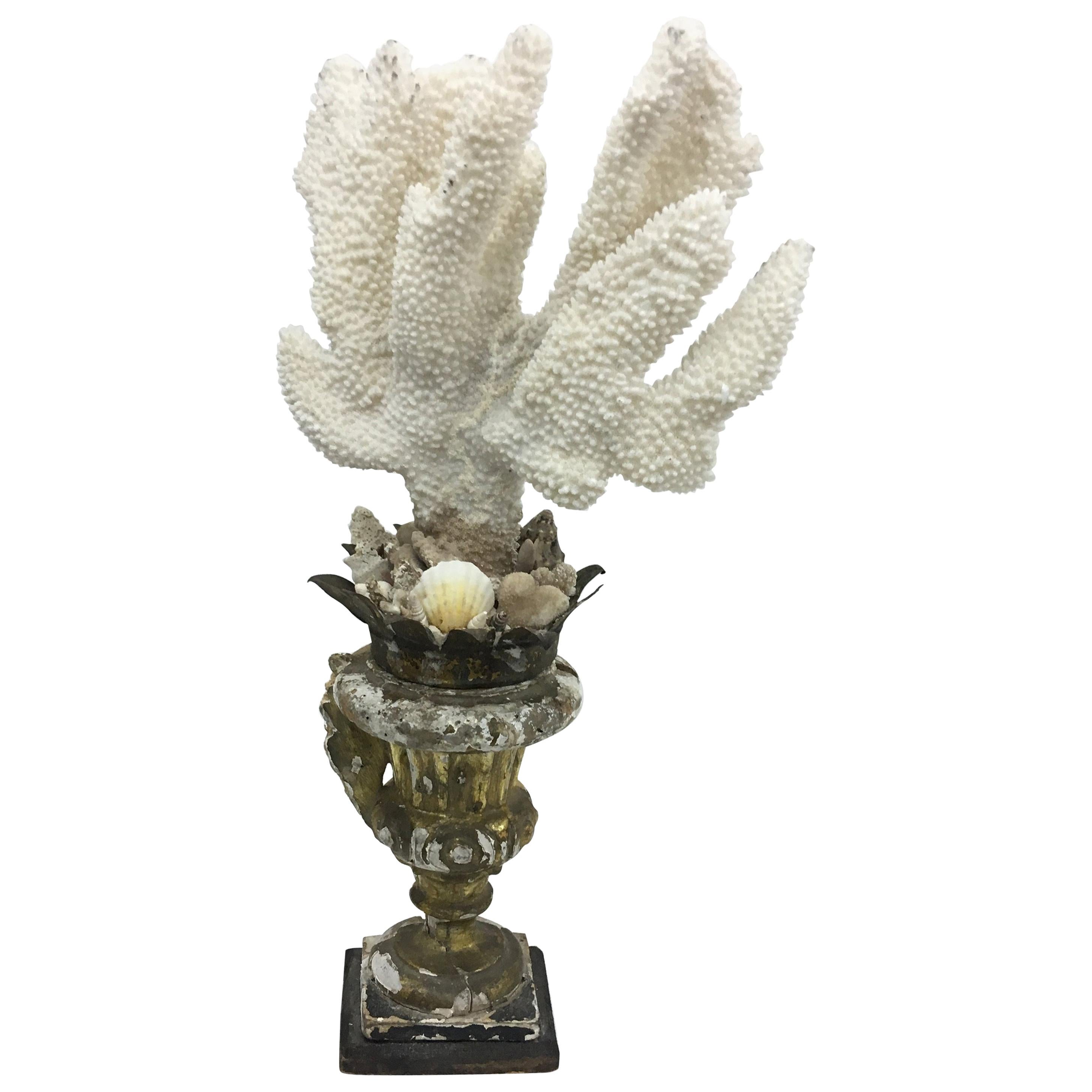 Italian Gilded Wood Baroque Torchère Surmounted by a Fossil Coral