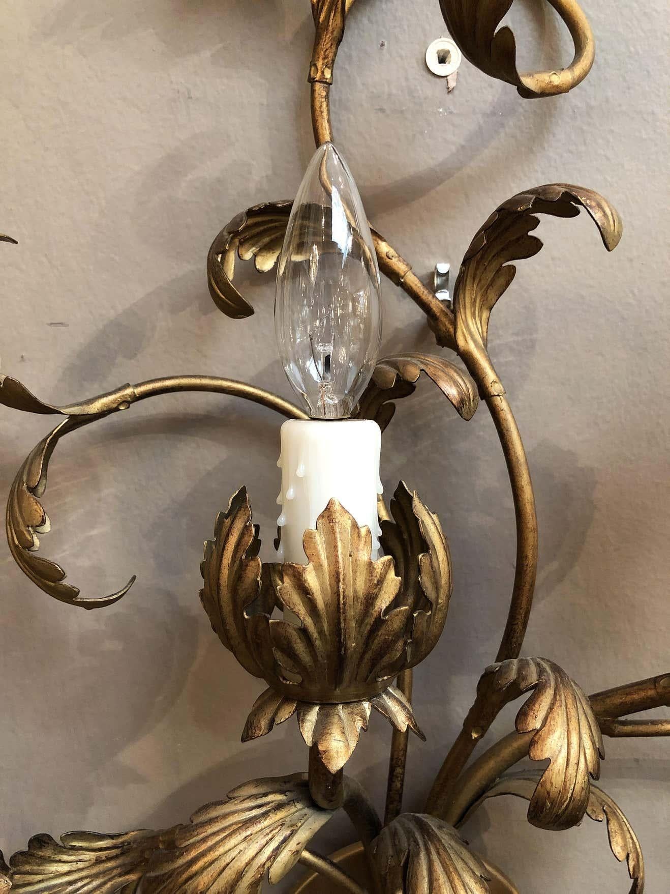 Italian Gilt Wall Light or Sconce with Vine or Leaf Design For Sale 4