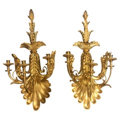 Italian Gilt Wood and Gesso Wall Sconces
