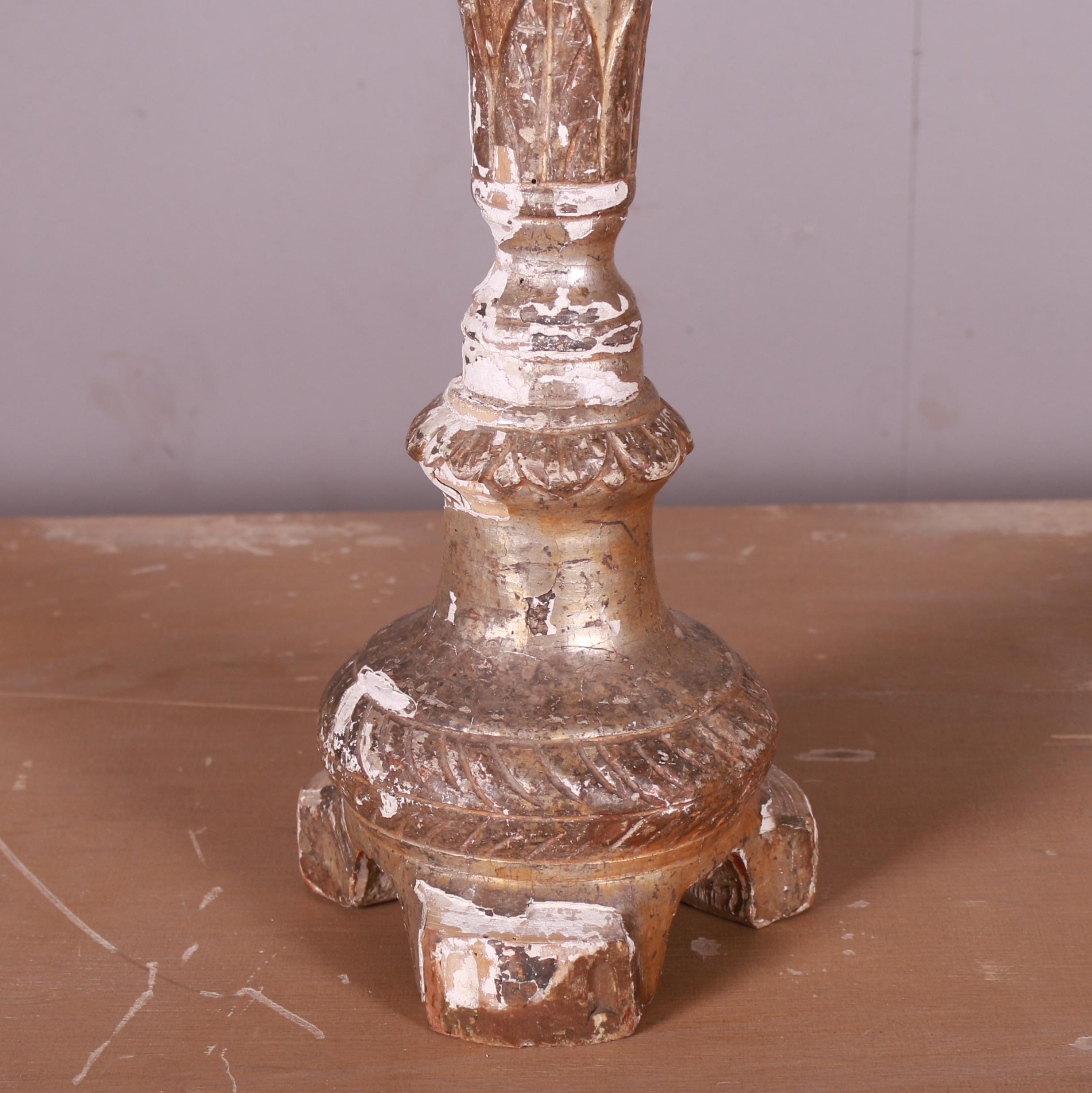 Late 19th C Italian giltwood candle holder. 1890.

Reference: 7379

Dimensions
24.5 inches (62 cms) High
6.5 inches (17 cms) Diameter.
