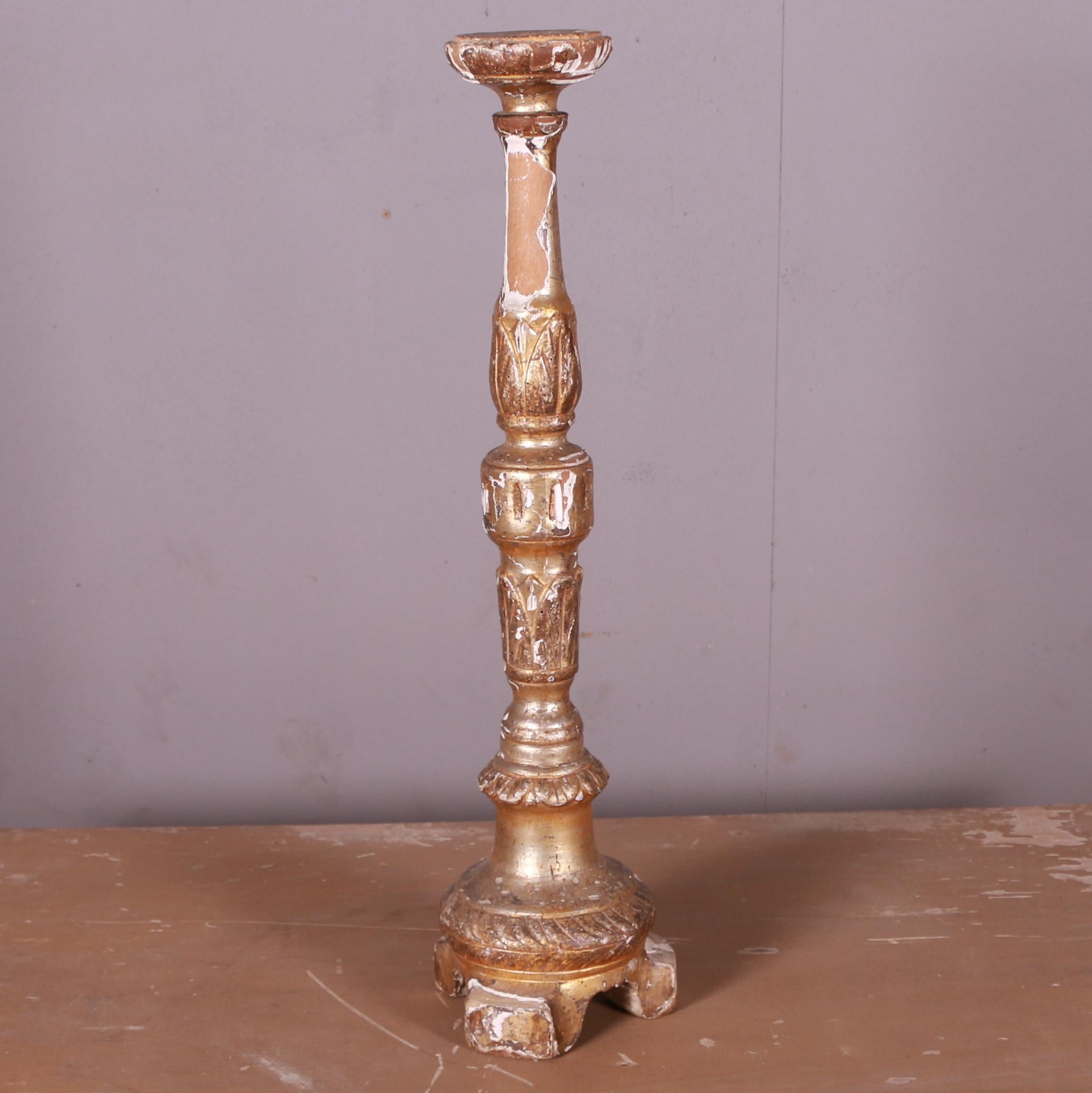 Italian Giltwood Candle Holder For Sale 1