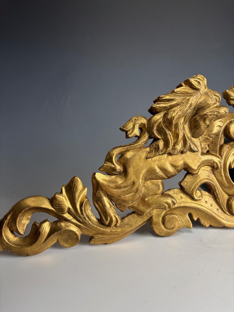Frontón de León Italiano de Madera Dorada, Siglo XVIII - Decoración Antigua Tallada a Mano en venta 6