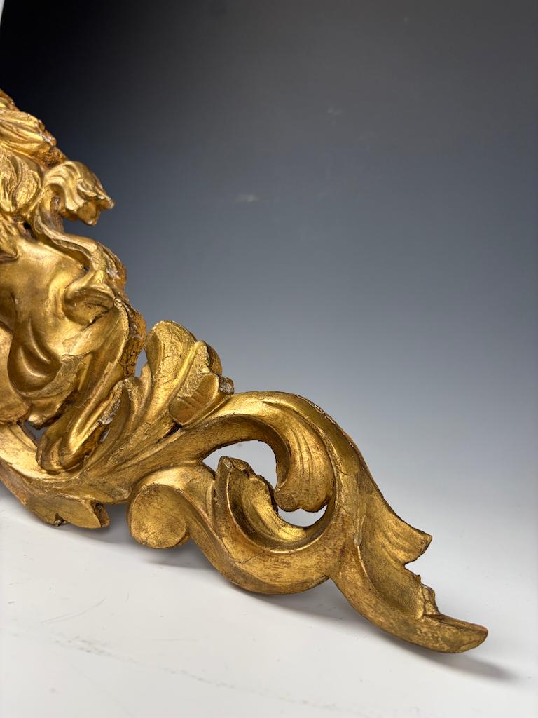 Frontón de León Italiano de Madera Dorada, Siglo XVIII - Decoración Antigua Tallada a Mano en venta 4