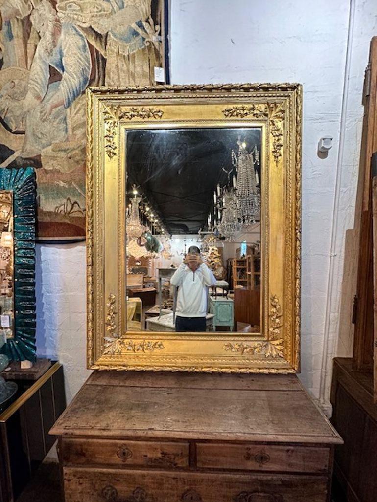 Large and impressive 19th century Italian carved and giltwood mirror. Circa 1880. Sure to make a statement!