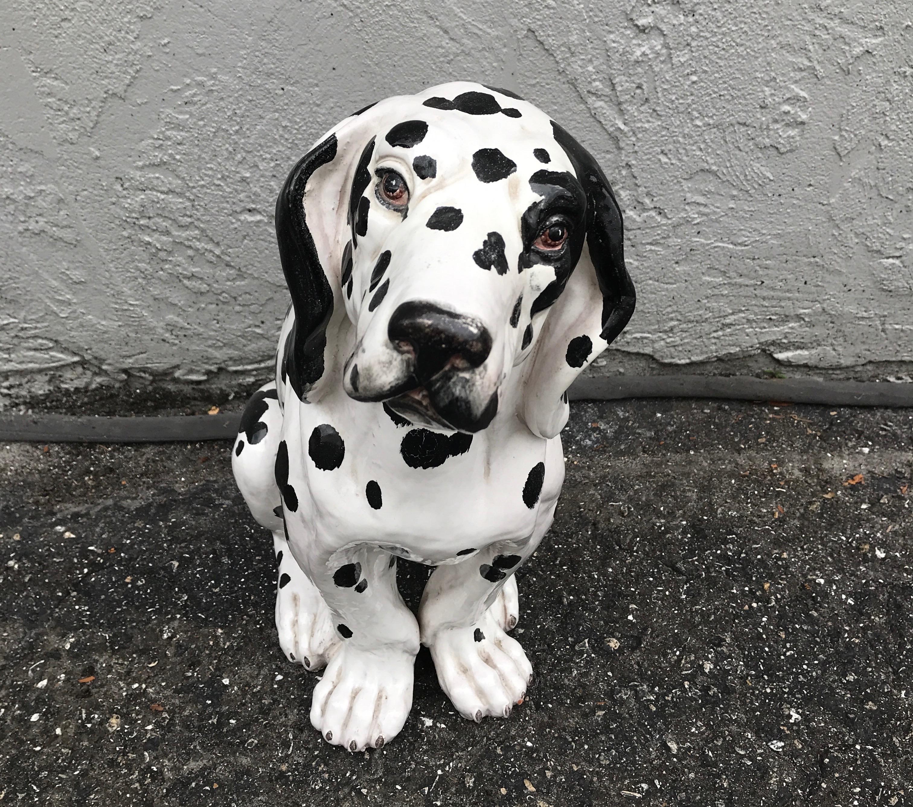 Adorable seated Dalmatian Puppy.
