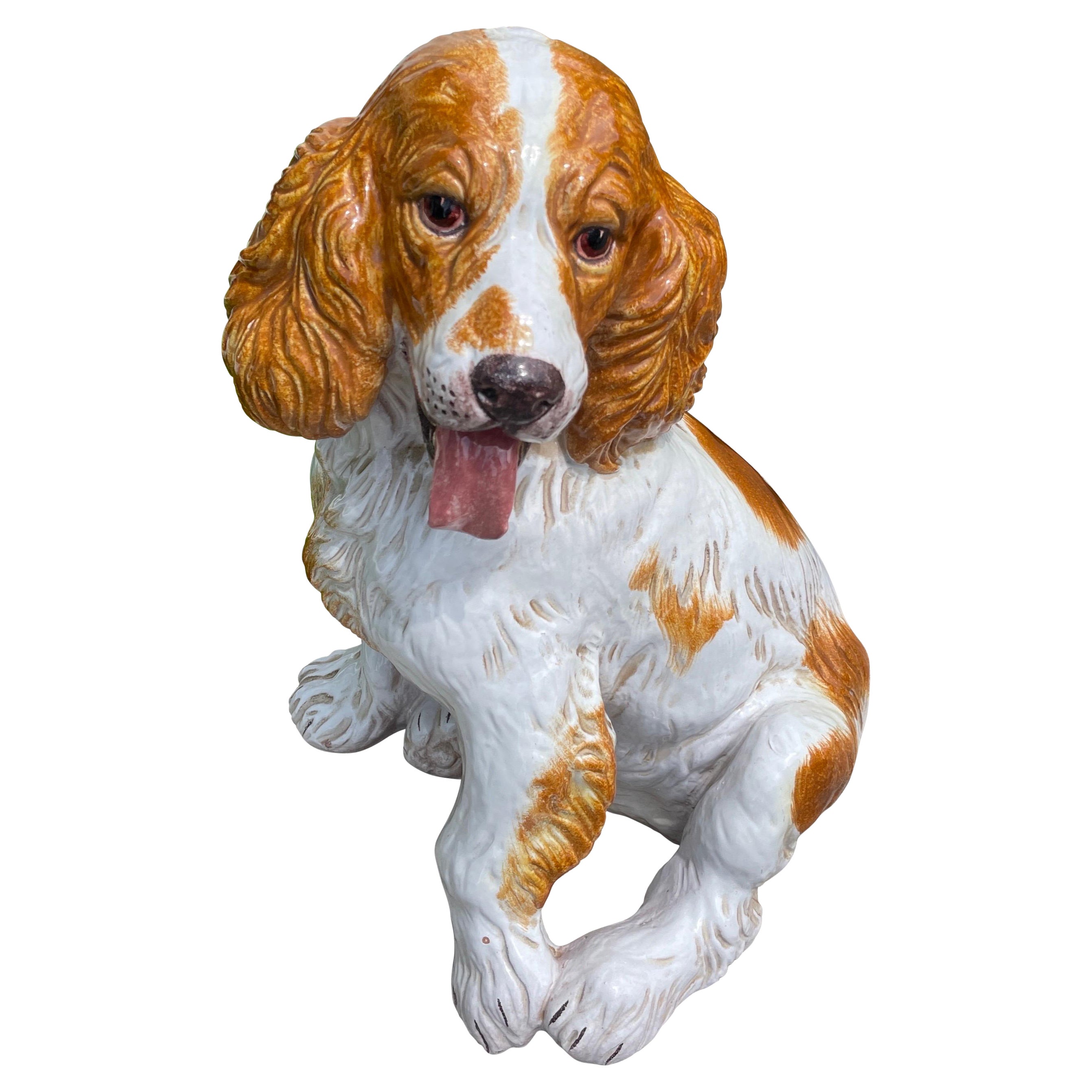 Spaniel italiano in terracotta smaltata in vendita