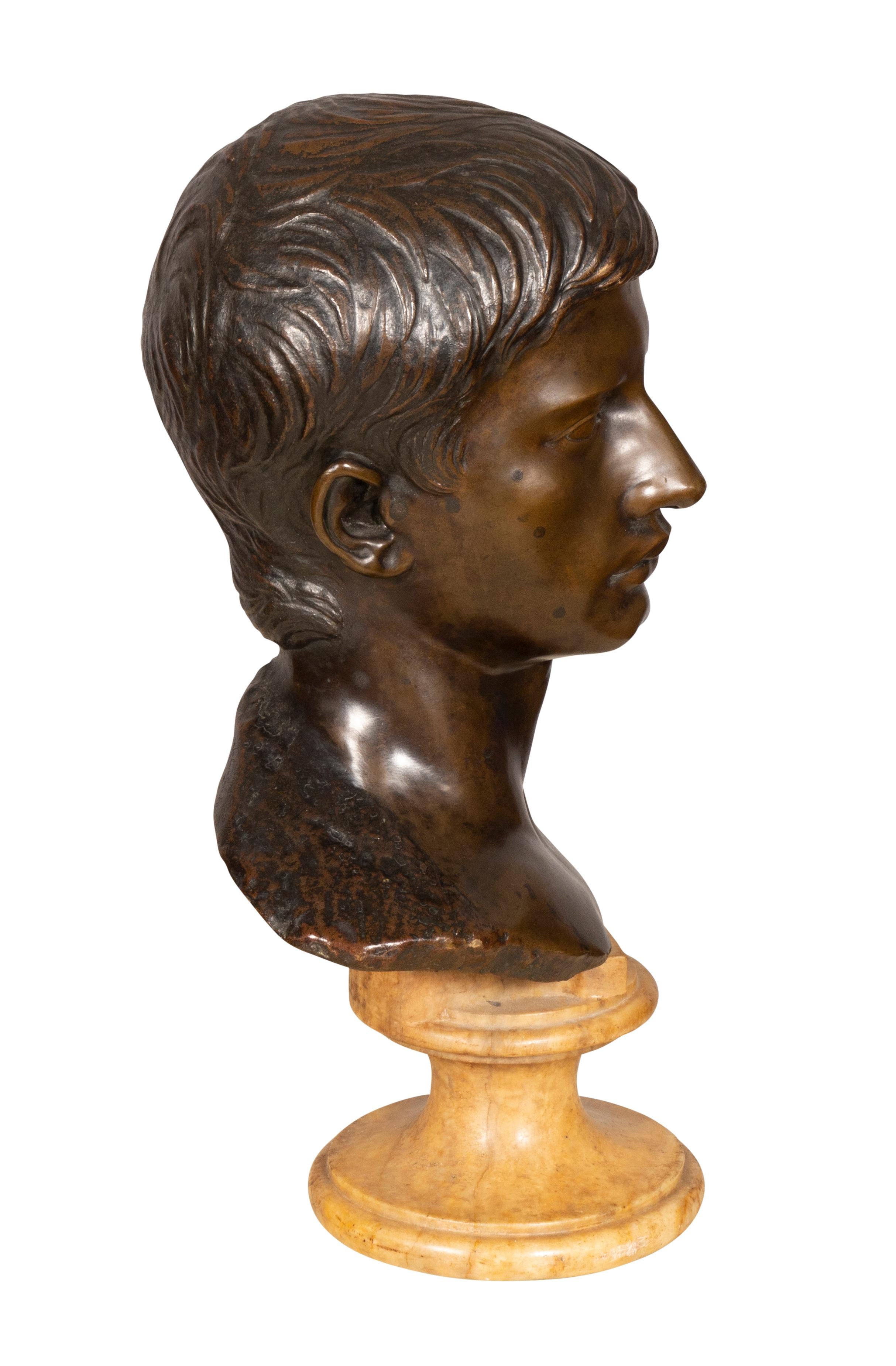 Italian Grand Tour Bronze Bust of Caesar In Good Condition For Sale In Essex, MA