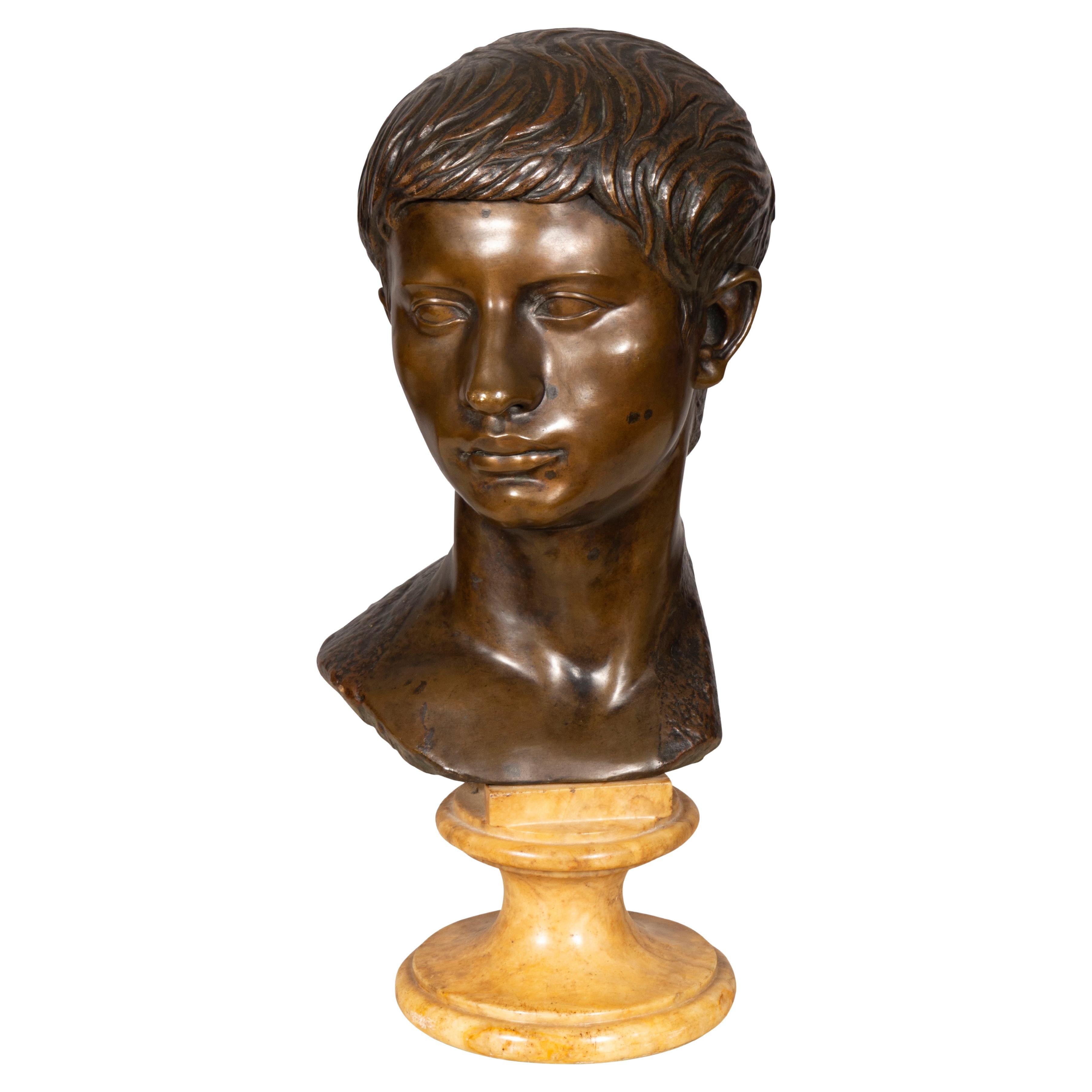 Italian Grand Tour Bronze Bust of Caesar