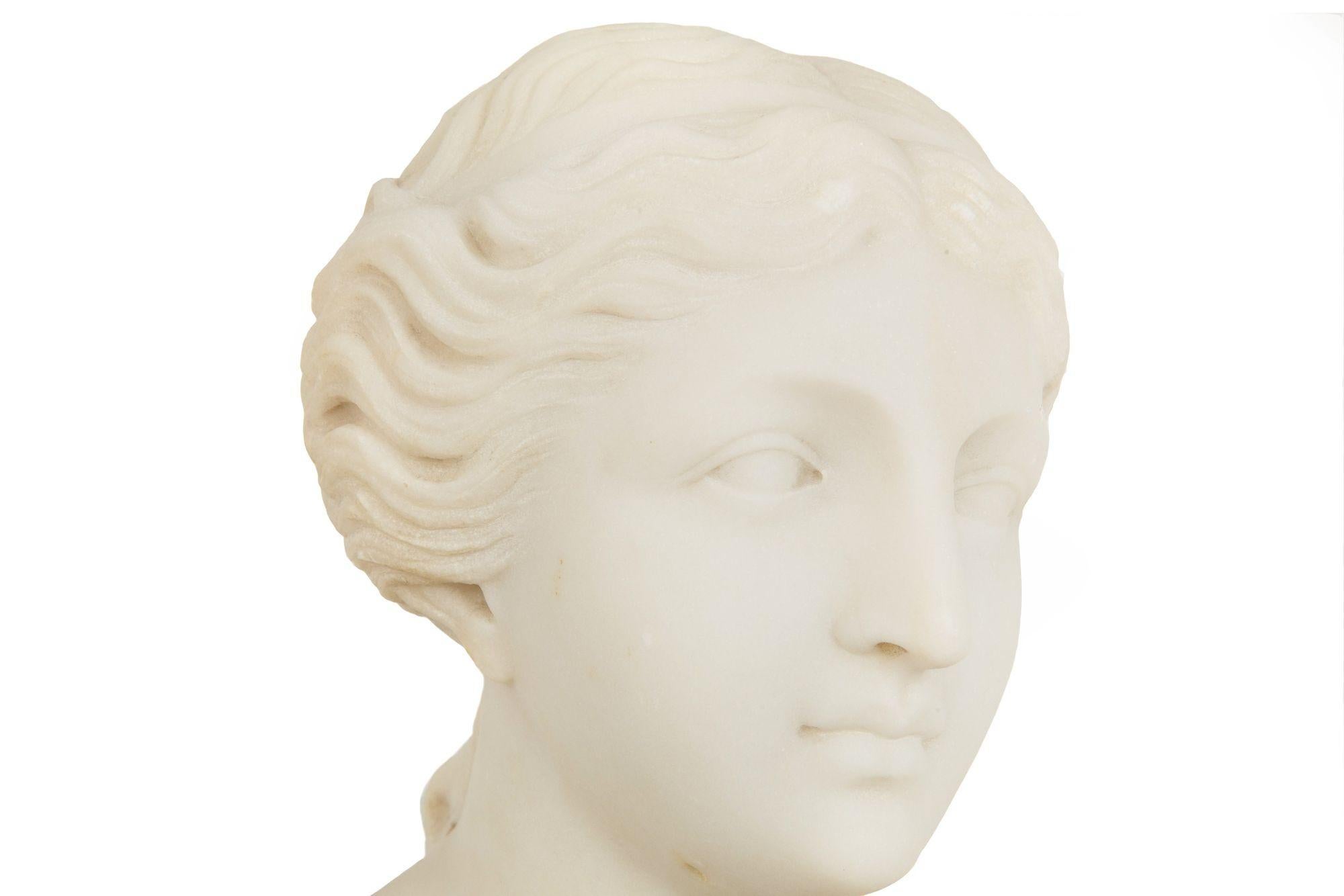 Italian Grand Tour Carved Alabaster Bust of Venus of Milo, 20th century For Sale 9