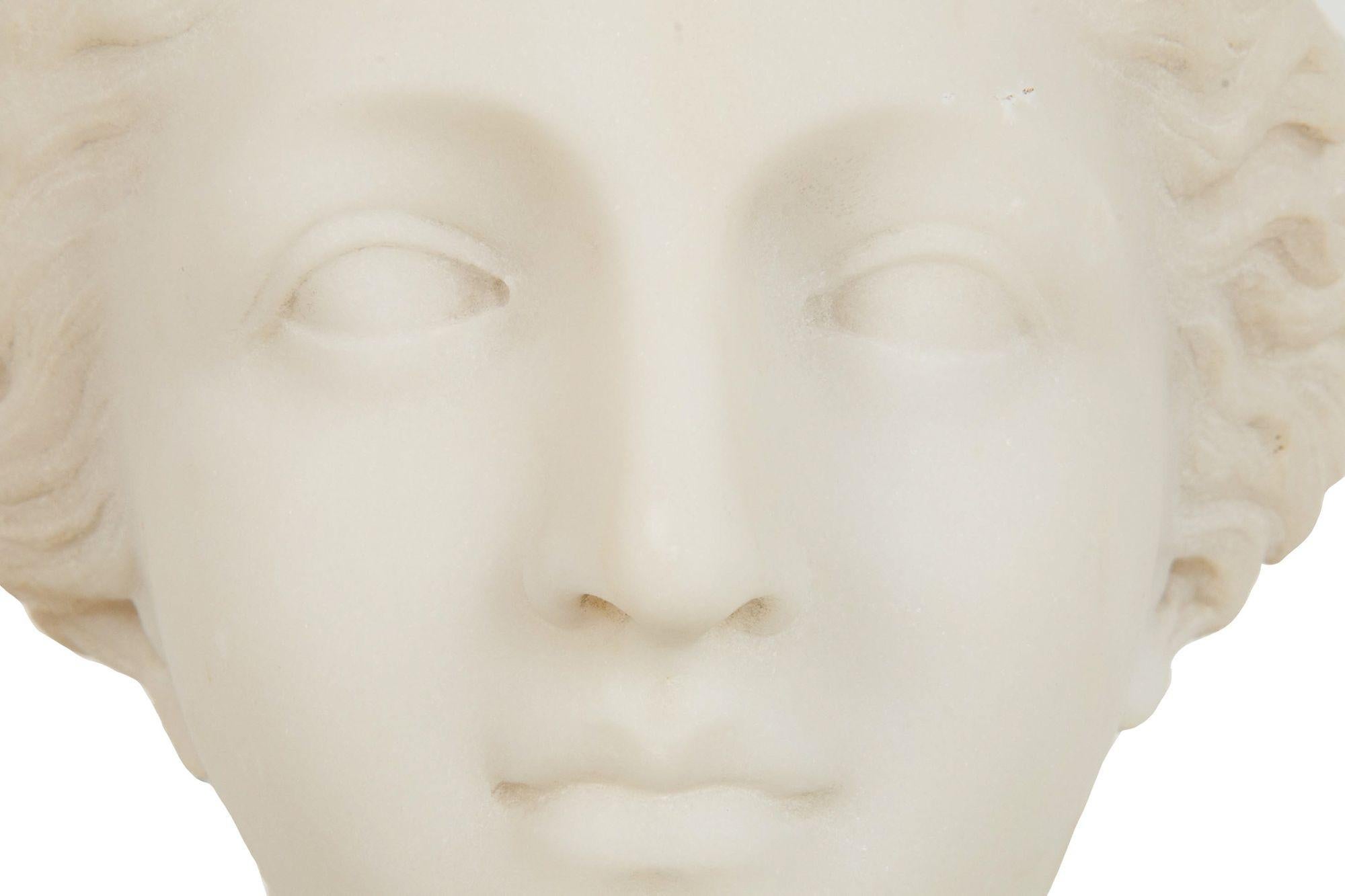 Italian Grand Tour Carved Alabaster Bust of Venus of Milo, 20th century For Sale 11