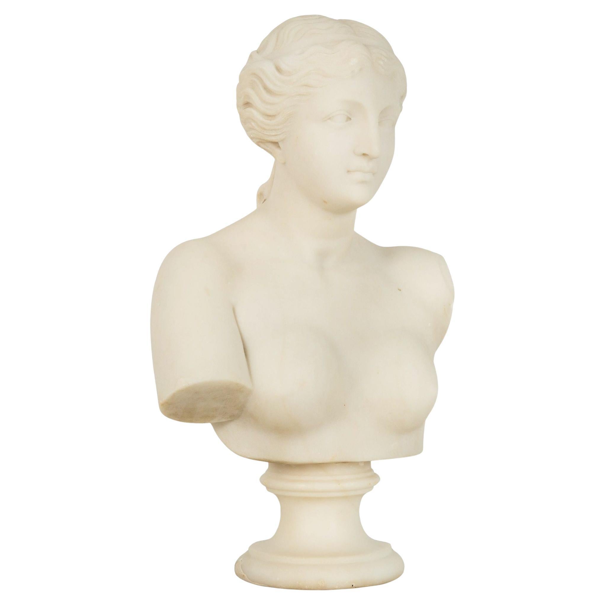 Italian Grand Tour Carved Alabaster Bust of Venus of Milo, 20th century For Sale