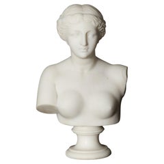 Italian Grand Tour Carved Alabaster Bust of Venus of Milo, 20th century