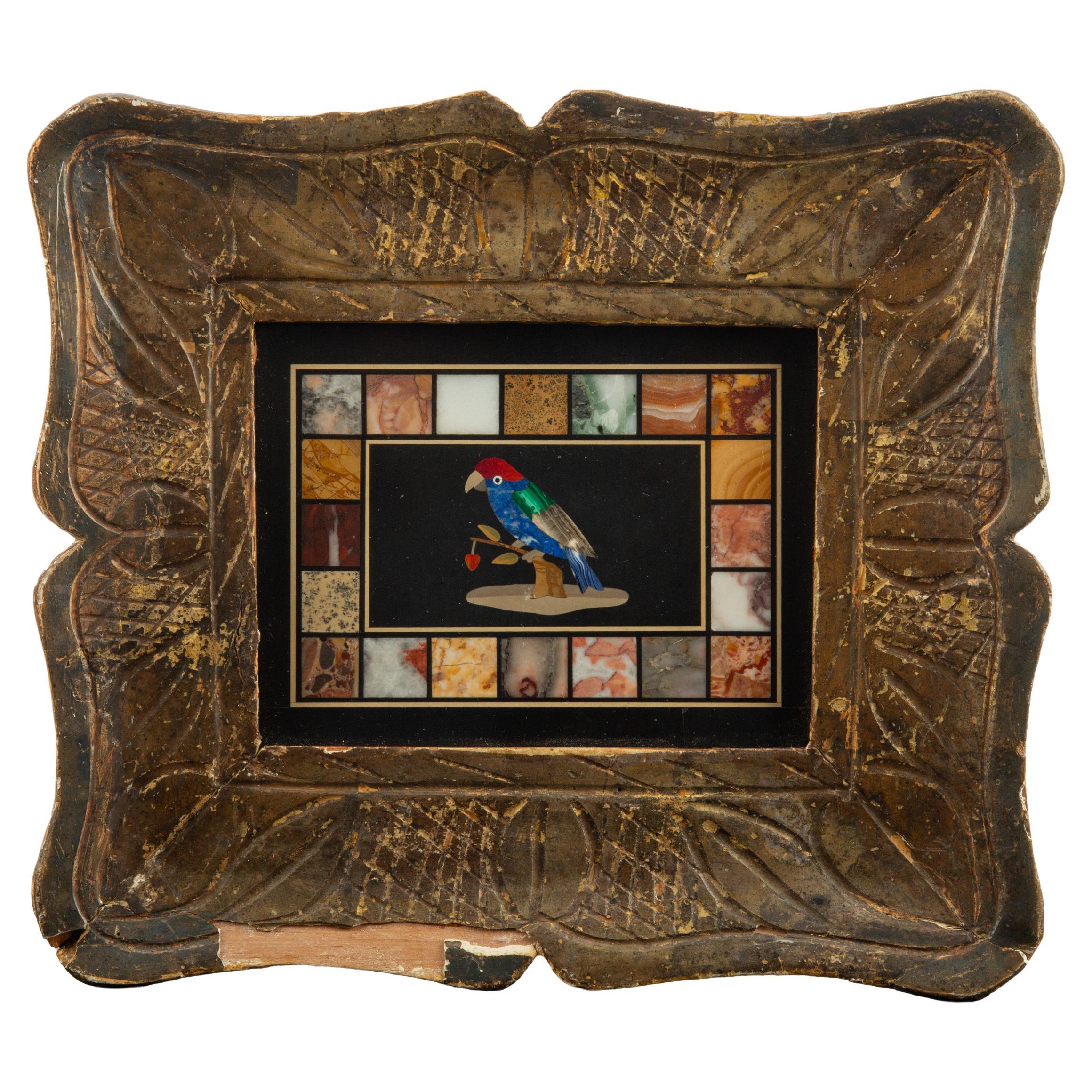 Italian Grand Tour Pietra Dura Panel with Parrot, 19th Century For Sale