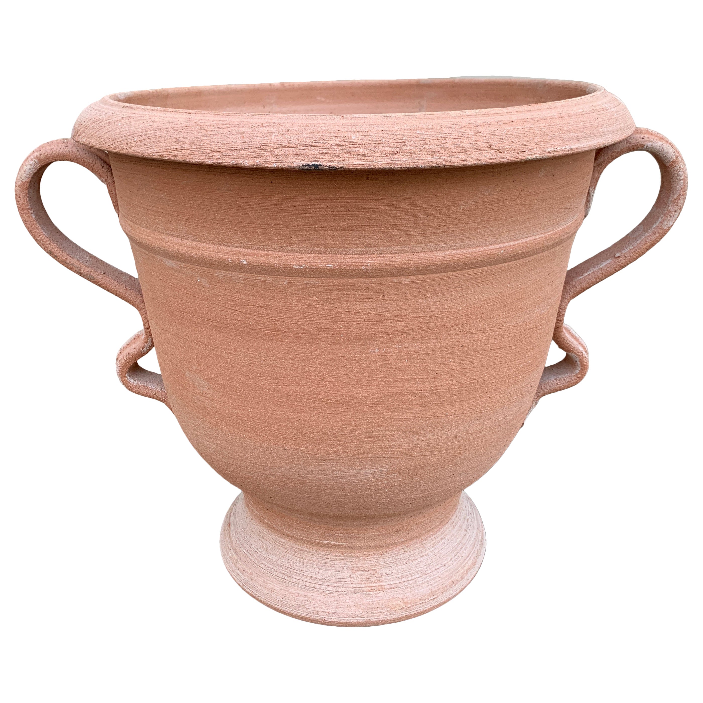 Italian Grand Tour Style Classical Terracotta Urn Planter