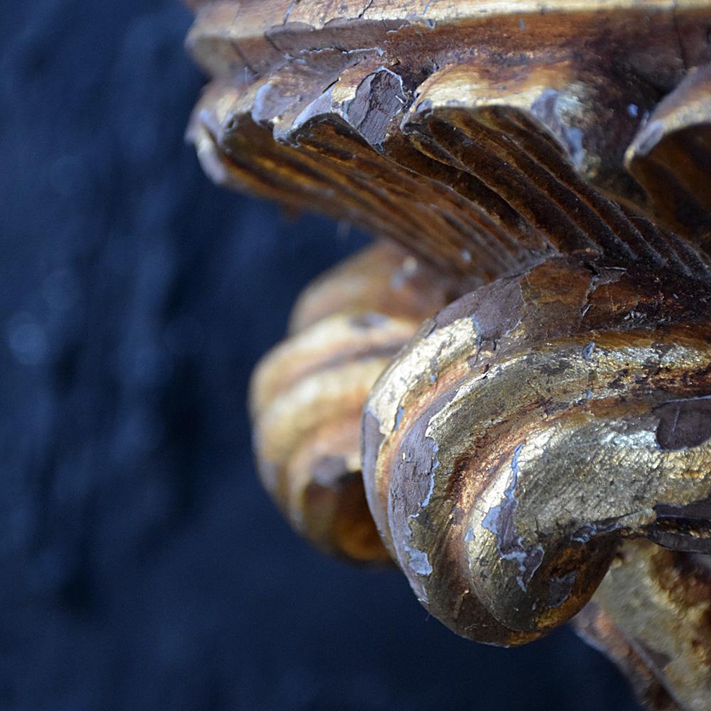 Hand-Carved Italian Hand Carved Gold Gilt Wall Corbels, circa 1890