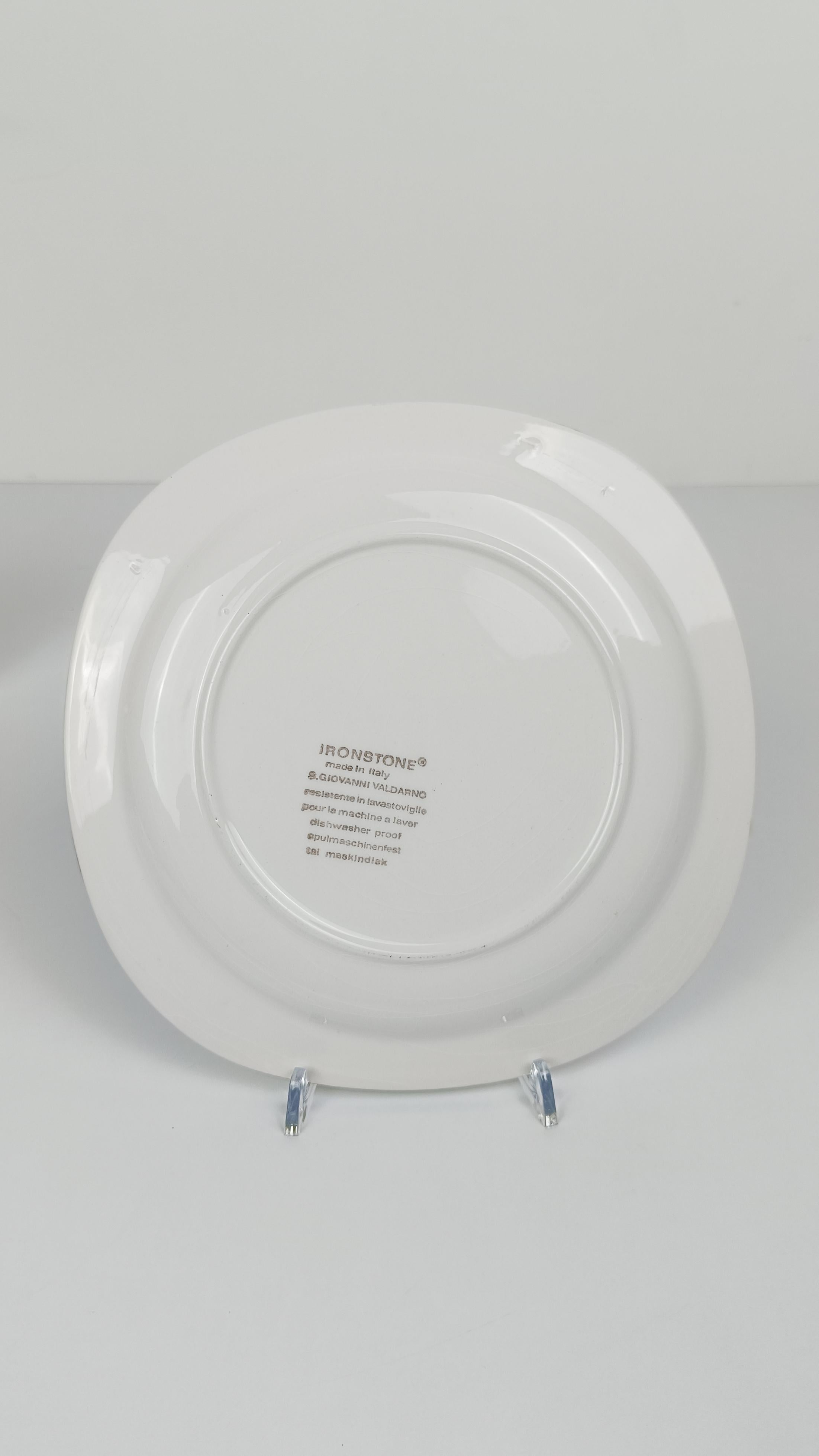 Italian Hand-Painted Vintage Ironstone Dinner Service By San Giovanni Valdarno 4