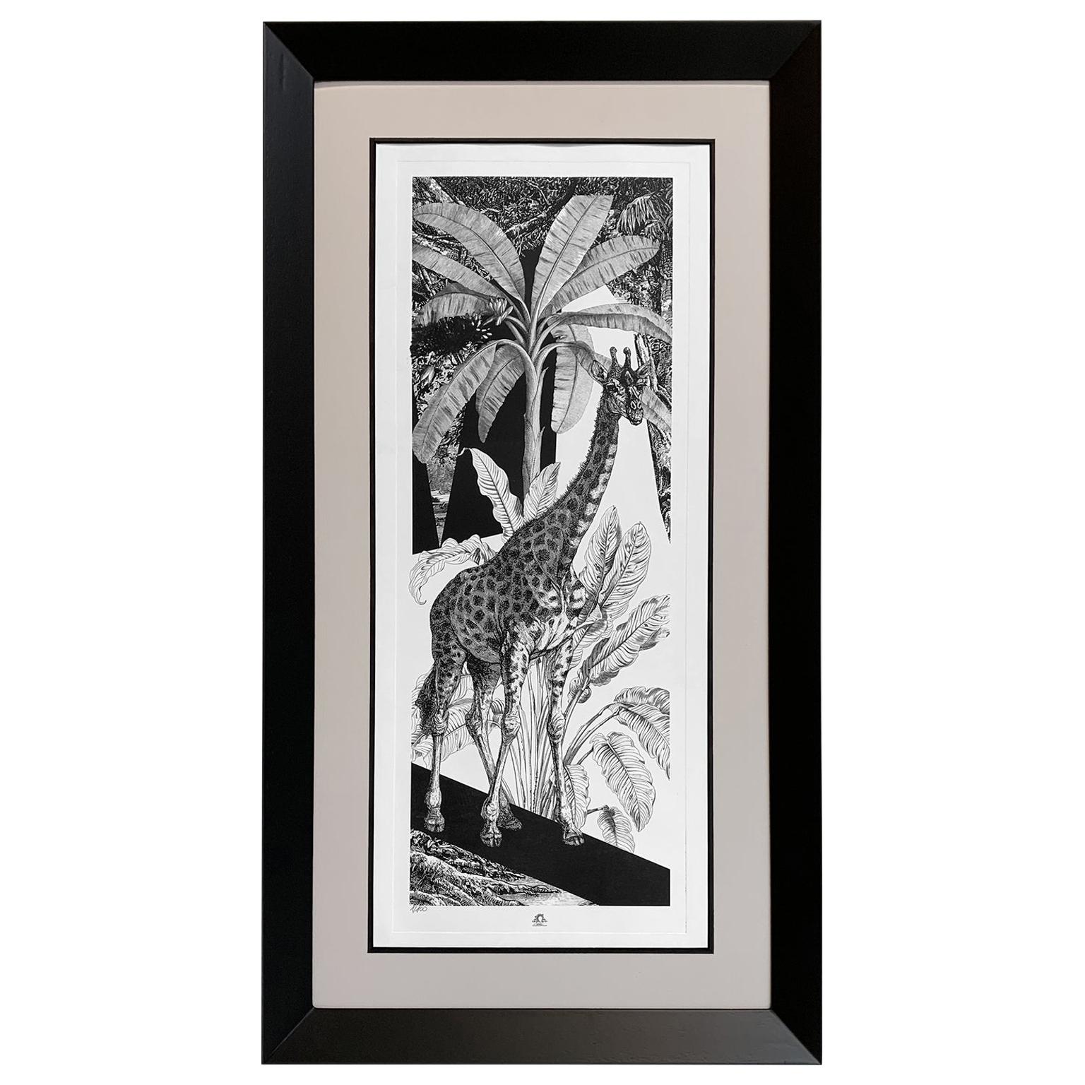Italian Handmade Limited Edition Print "Black & Wild" Collection For Sale
