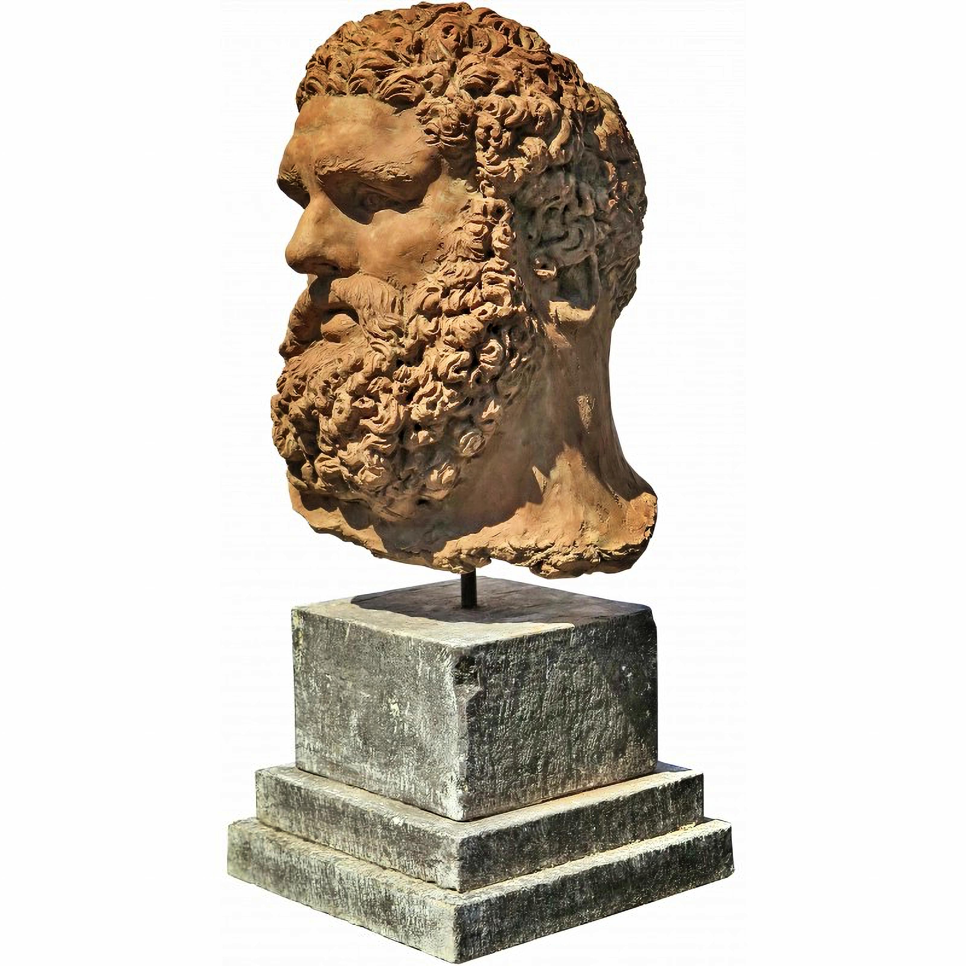 Head of the Farnese Hercules in Terracotta end 19th century
Italy
Base in serena stone
Measures: Height 48 cm
Length 31 cm
Depth 34 cm
Weight 28 kg
Square base - side x side 33 x 33 x 25 cm
Material Terracotta.