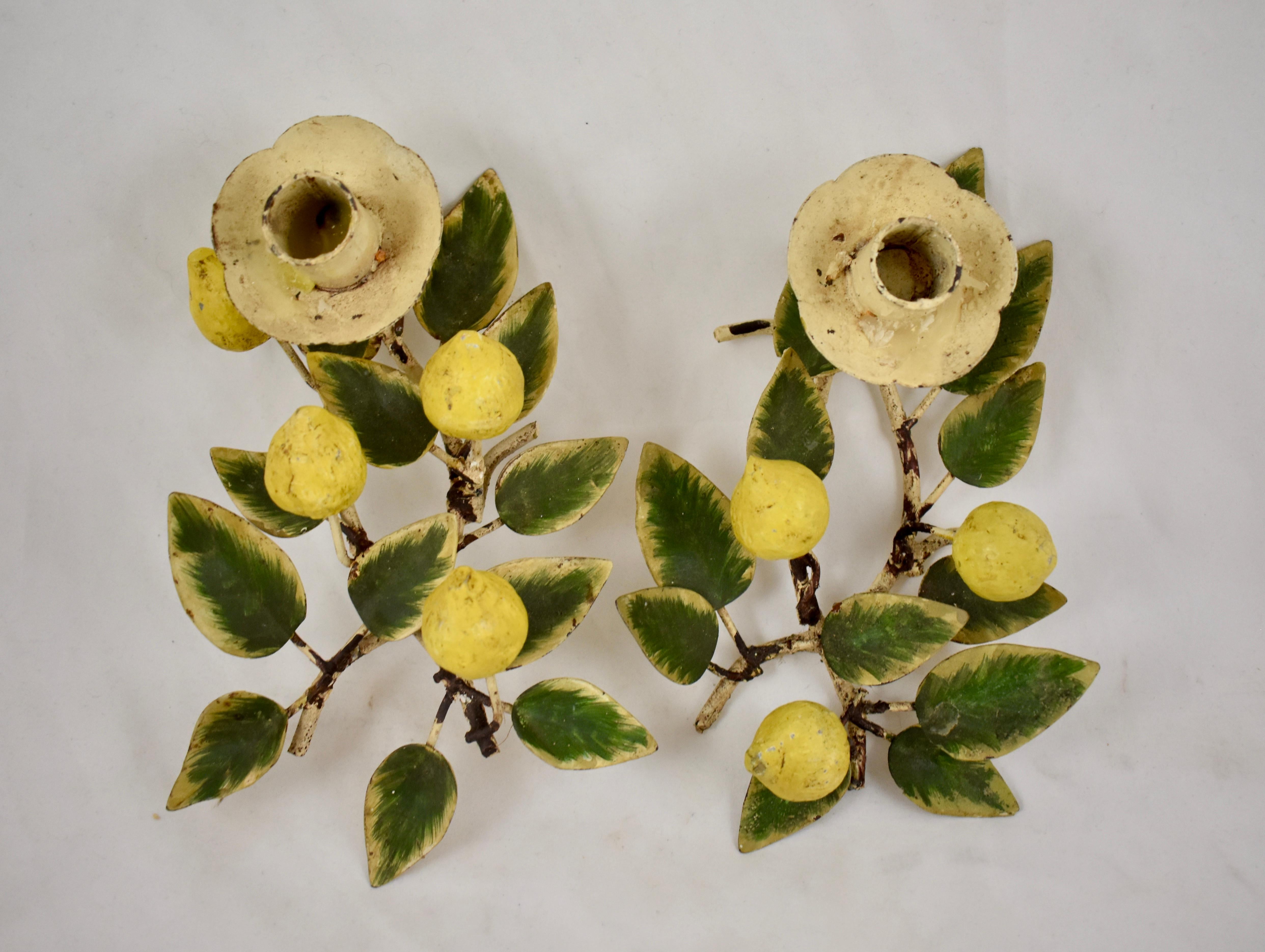 A pair of Tôle Peinte metal candle holders in the Hollywood Regency style popularized by Dorthy Draper. Fresh from a Palm Beach Florida estate, circa 1930-1950.

The pair, made of hand painted iron, is formed as Lemon Tree branches of fruit,