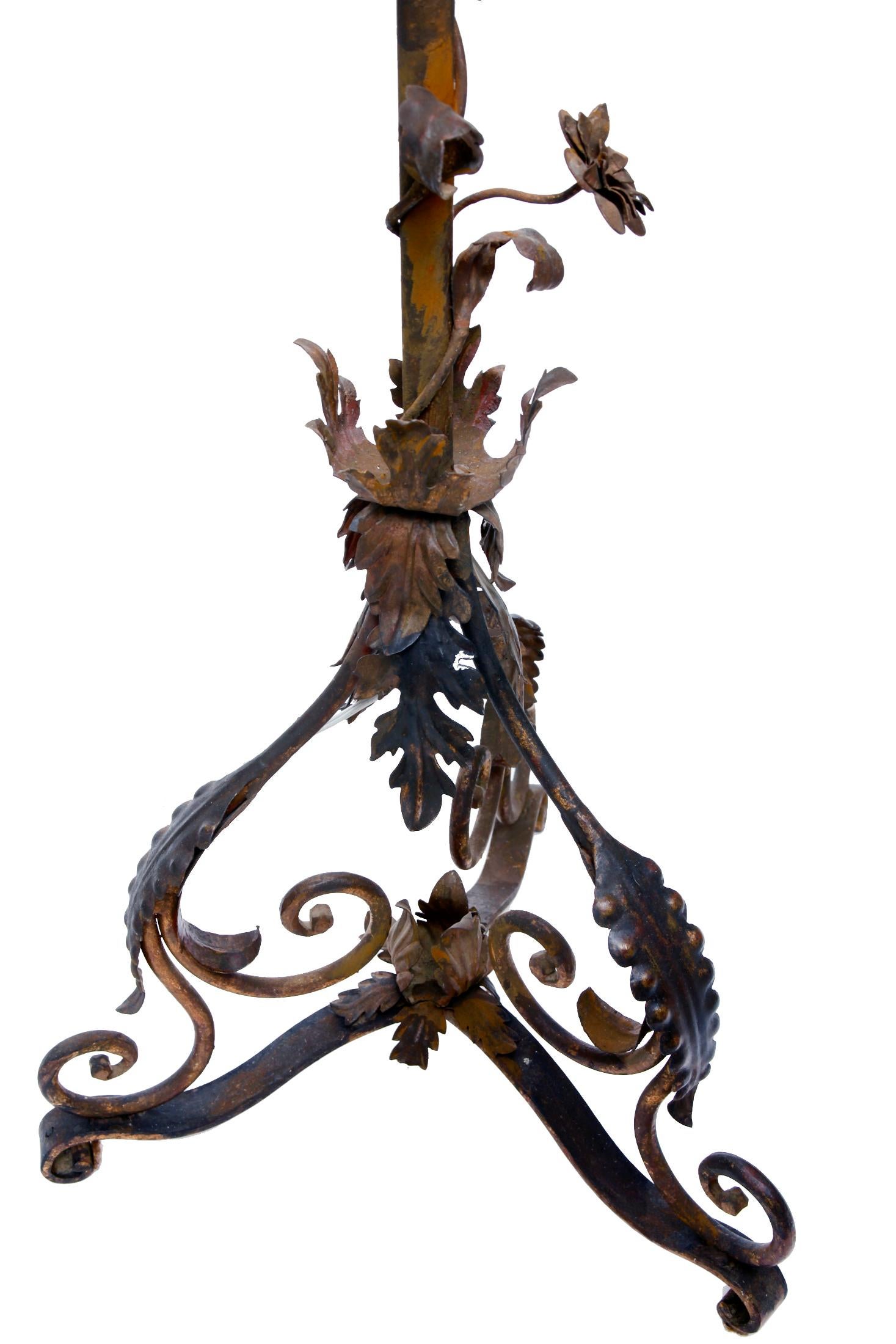 Anodized Italian Iron Floor Lamp with Patinaed Rusty Finish For Sale