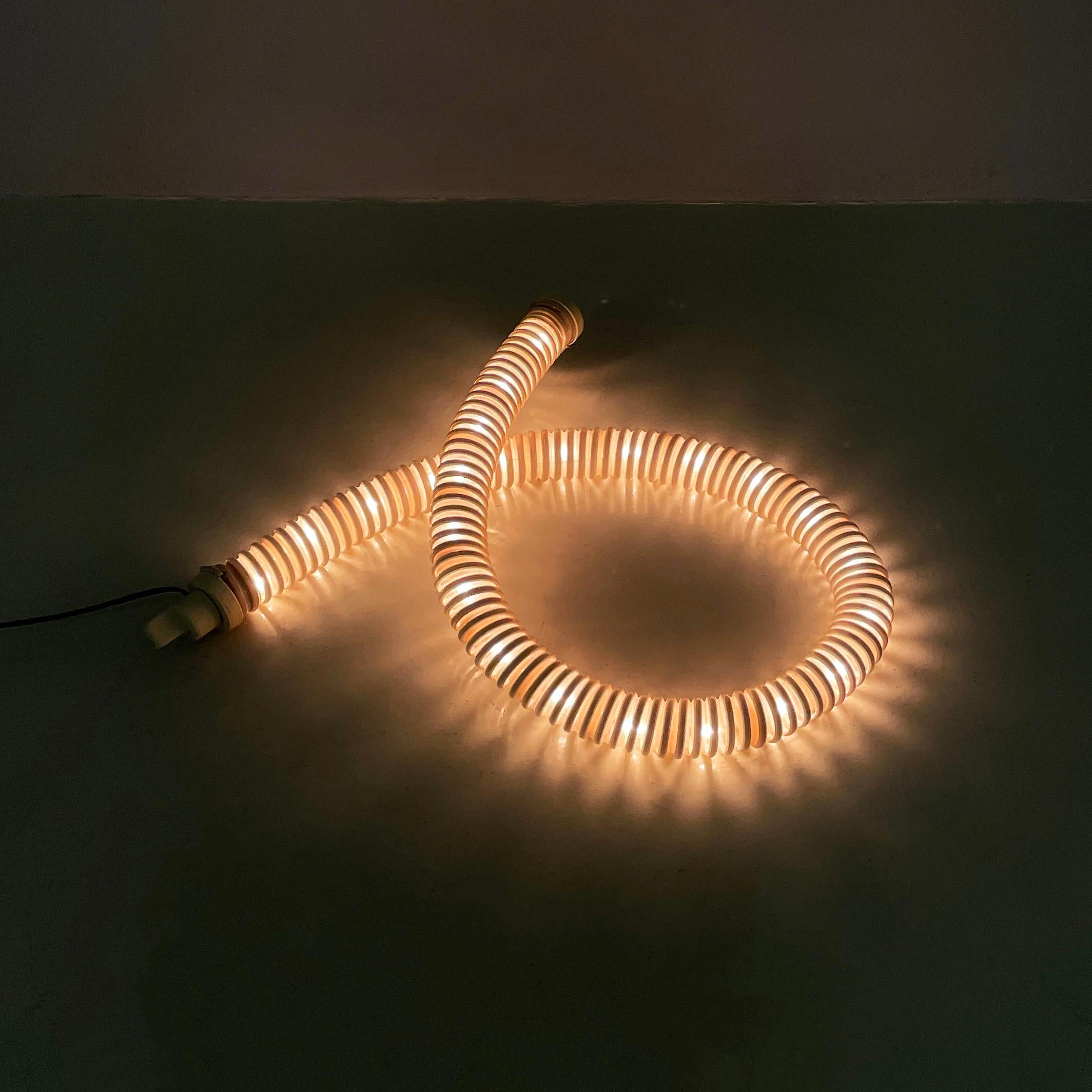 Lampada moderna italiana Boalum di Livio Castiglioni Gianfranco Frattini per Artemide, anni '70
Lampada da terra, da tavolo o a sospensione mod. Boalum in PVC flessibile traslucido con terminali in resina. È composto da un modulo che può essere