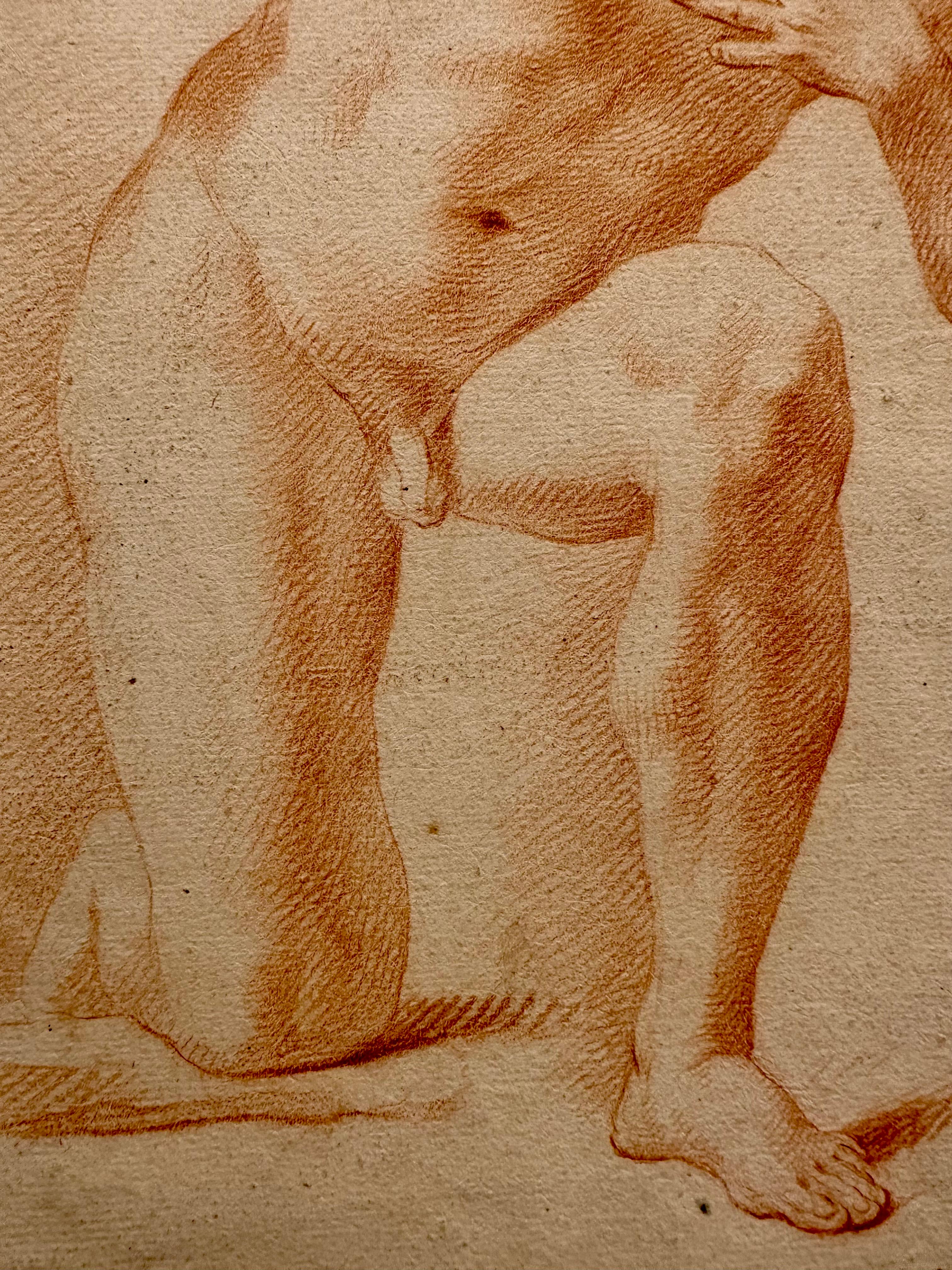 Paper Italian Bolognese 17th C. Red Chalk Drawing of a Kneeling Young Man, circa 1680 For Sale