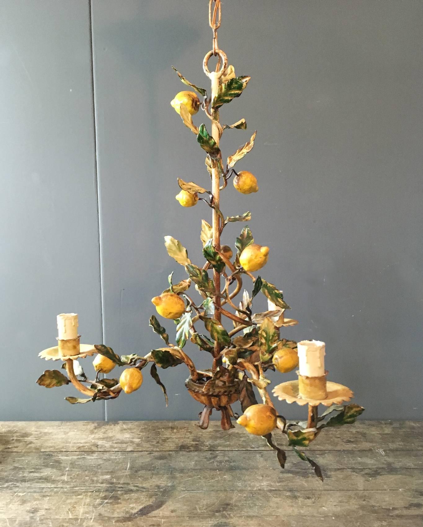 Rare Italian handmade hand-painted lemon tole light

The light has three bulb holders and its original chain and rose

Measures: 78cm total height base to top of rose
52cm height base to top ring
51cm width

This is a beautiful and rare piece,