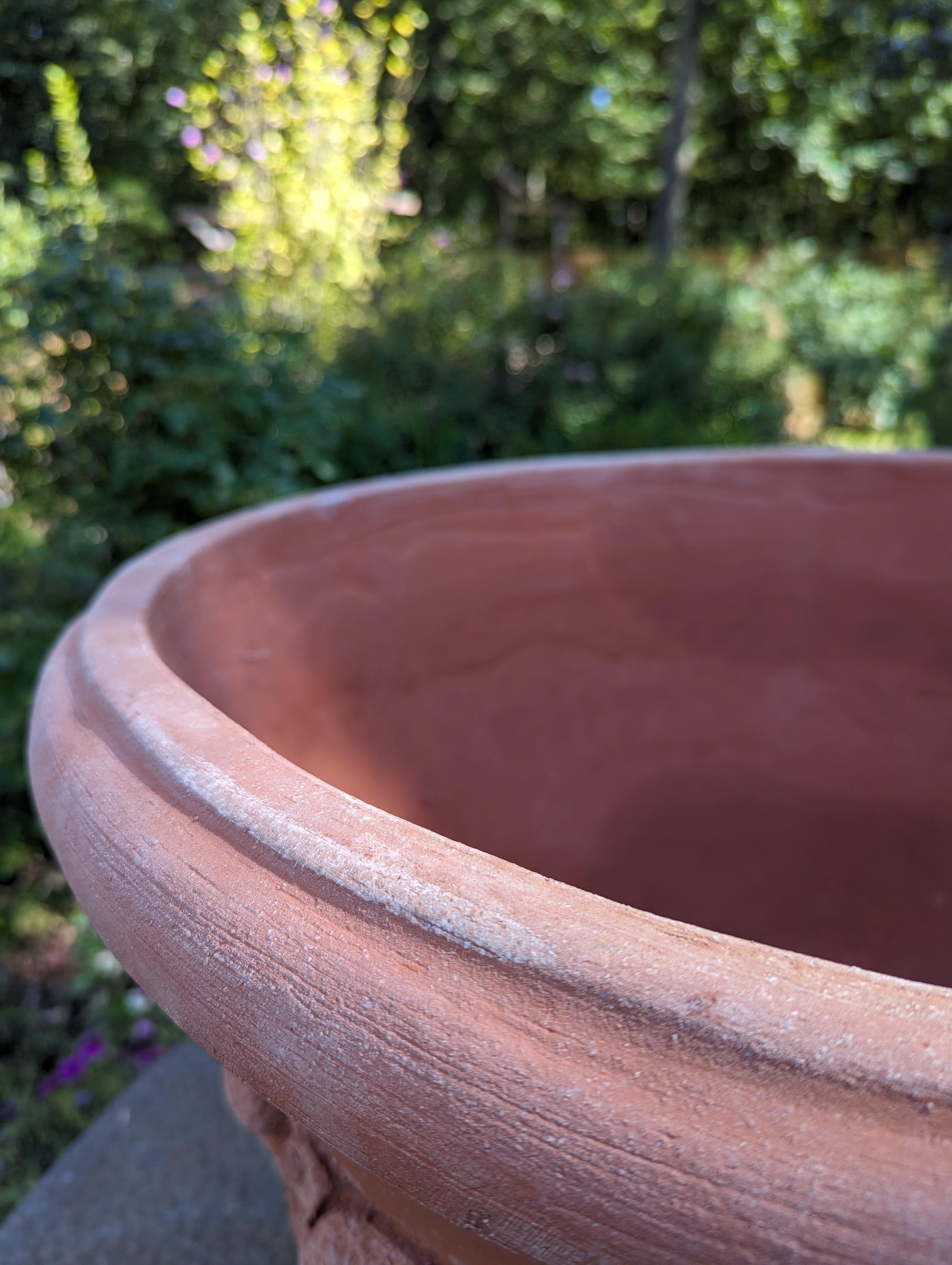 50 cm terracotta pot